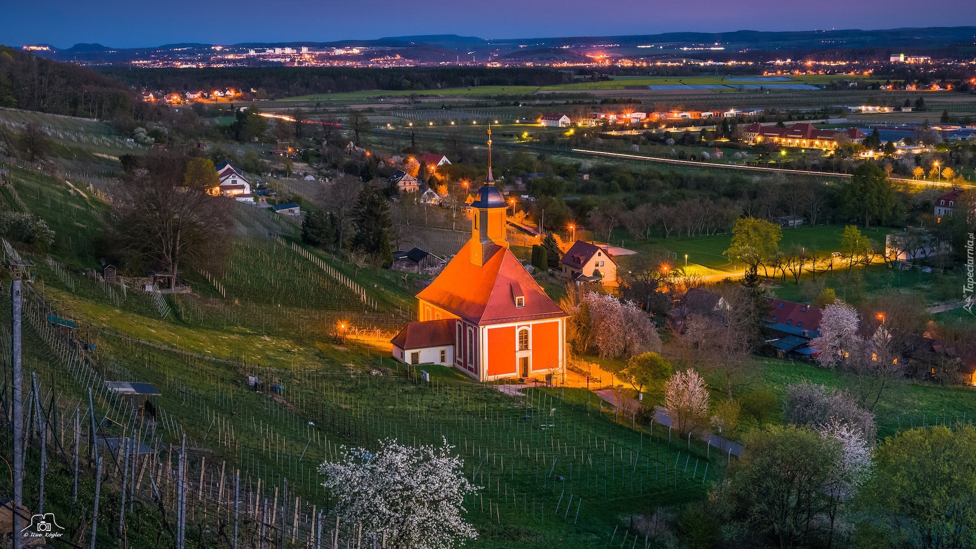 Niemcy, Drezno, Dzielnica Pilnitz, Wzgórze, Winnice, Kościół św Ducha, Wiosna