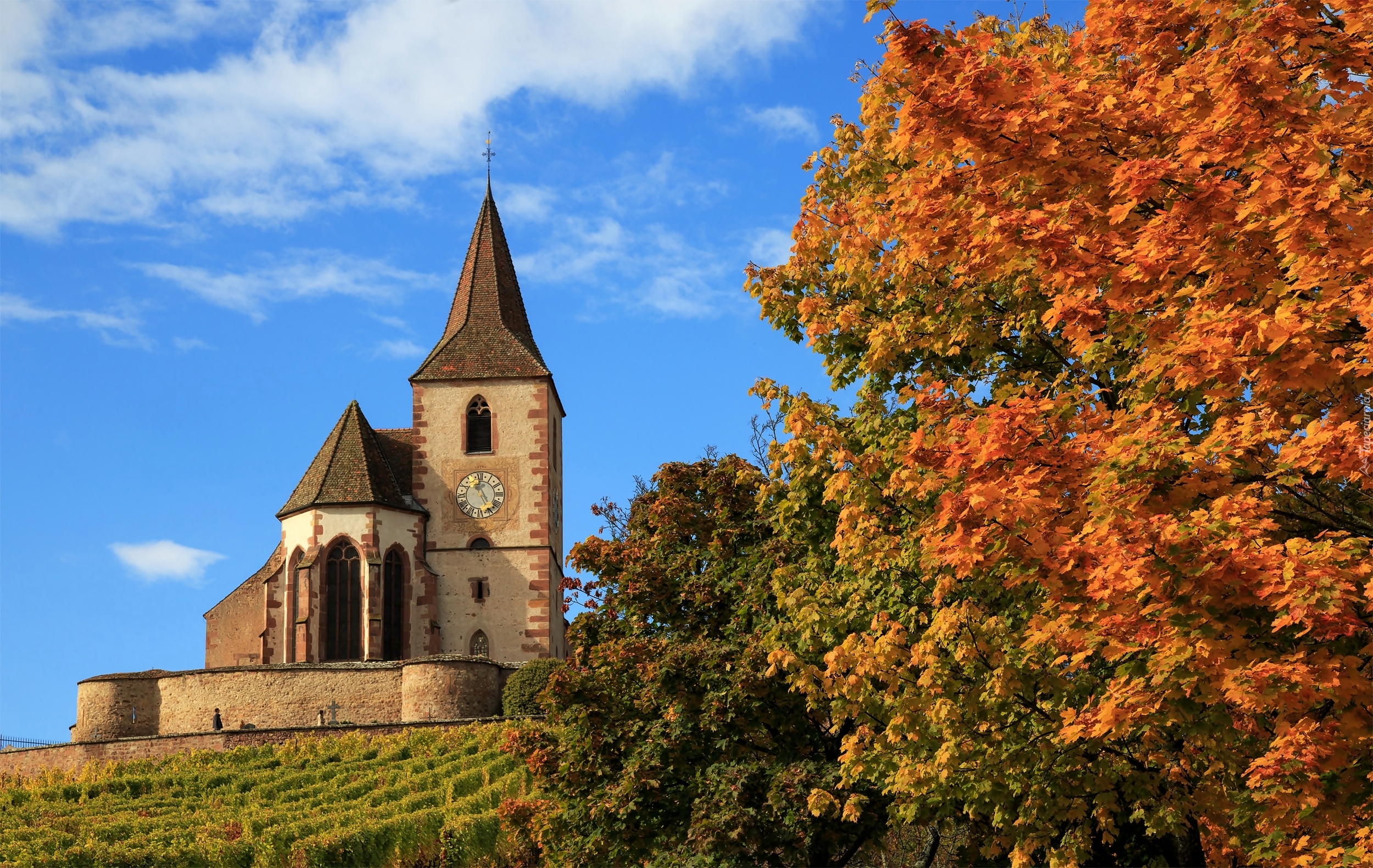 Francja, Miejscowość Hunawihr, Kościół św. Jakuba Majora, Church Saint Jacques le Majeur, Drzewa