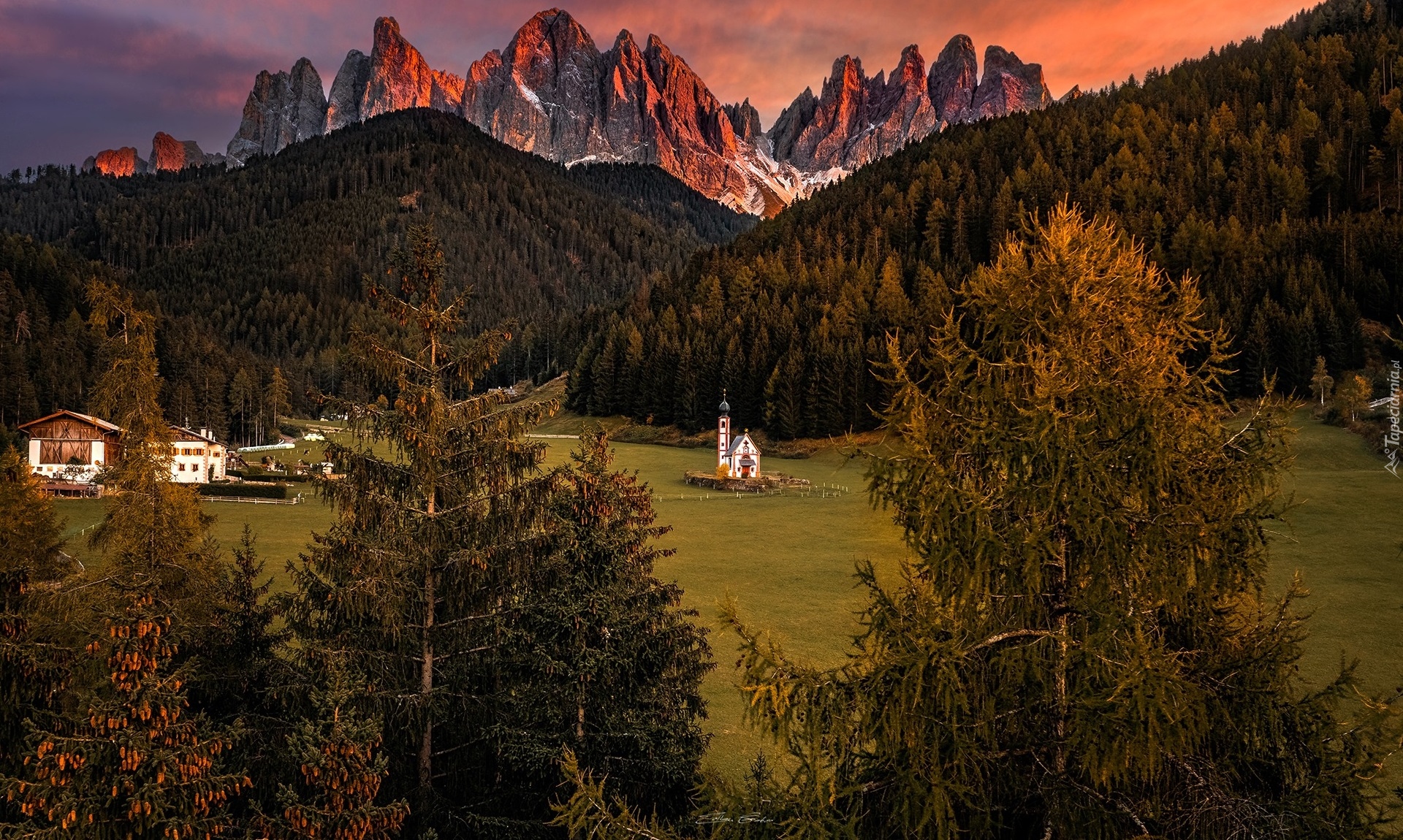 Włochy, Południowy Tyrol, Góry, Dolomity, Kościół św Jana, Wieś, Santa Maddalena, Dolina Val di Funes, Drzewa