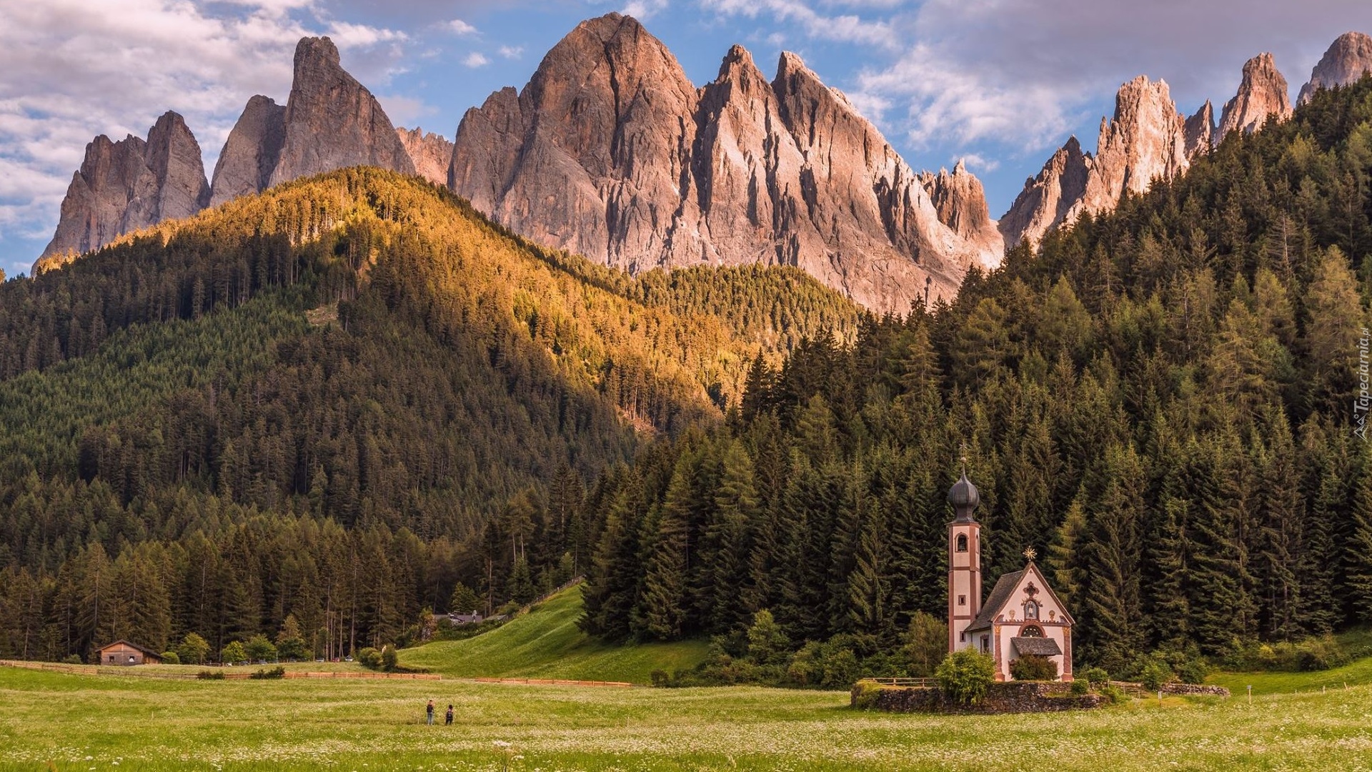 Włochy, Południowy Tyrol, Góry, Dolomity, Kościół św Jana, Wieś, Santa Maddalena, Dolina Val di Funes, Drzewa, Łąka