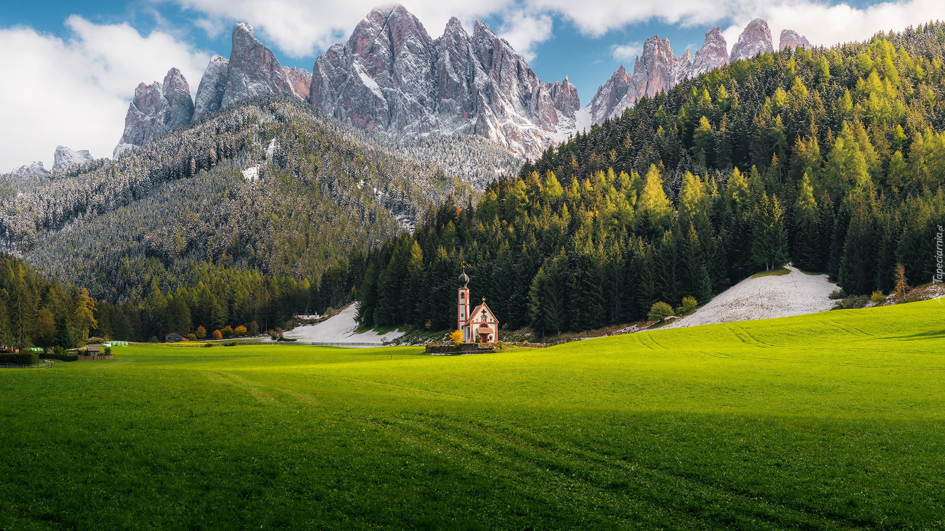 Włochy, Góry, Dolomity, Dolina Val di Funes, Kościół św Jana, Lasy