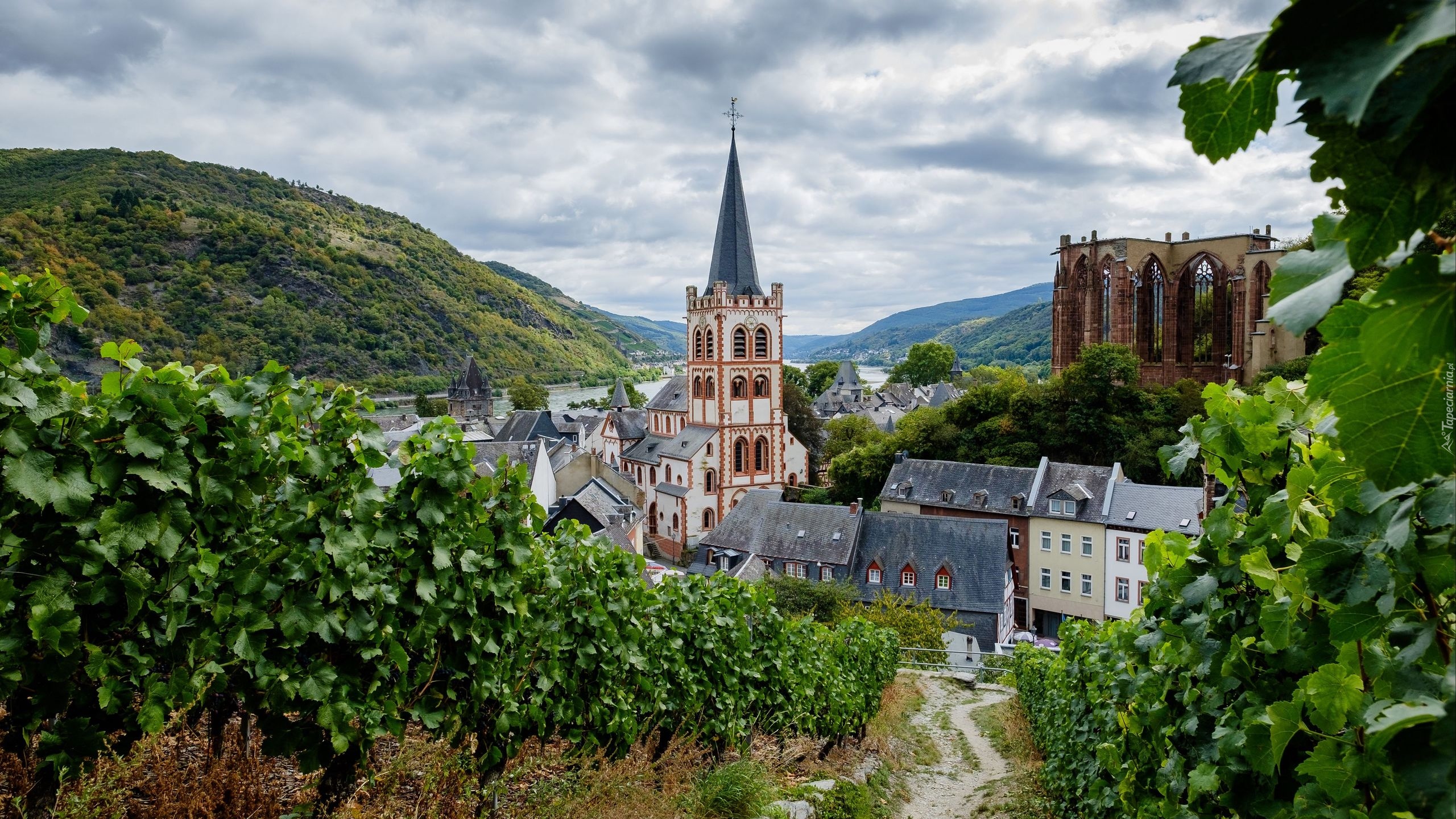 Niemcy, Powiat Mainz-Bingen, Bacharach, Kościół św Piotra, Kaplica Wernera, Wernerkapelle, Domy, Góry