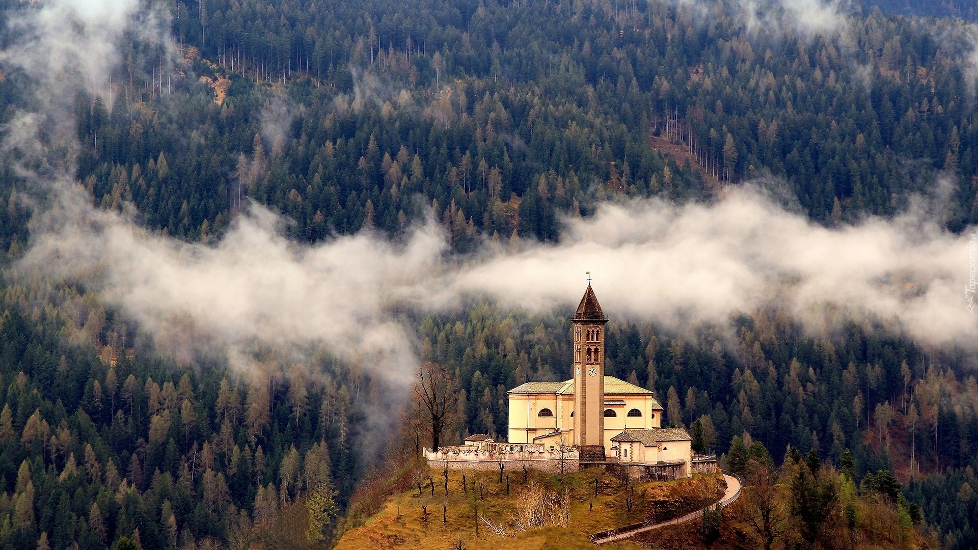 Wzgórze, Kościół, Las, Mgła, Castello Molina di Fiemme, Włochy