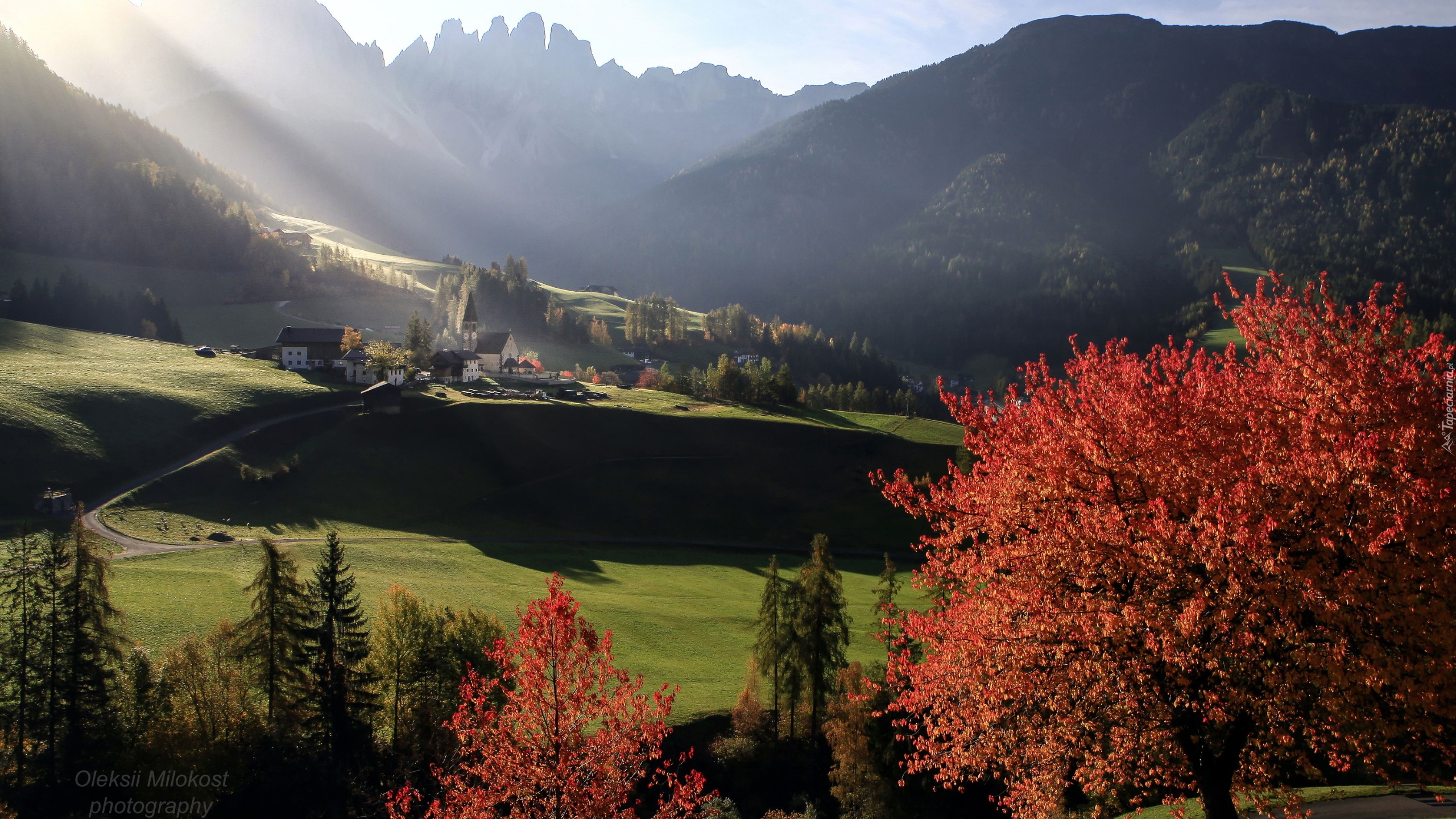 Włochy, Dolomity, Dolina Val di Funes, Wieś, Santa Maddalena, Góry, Masyw Odle, Kościół, Lasy, Drzewa