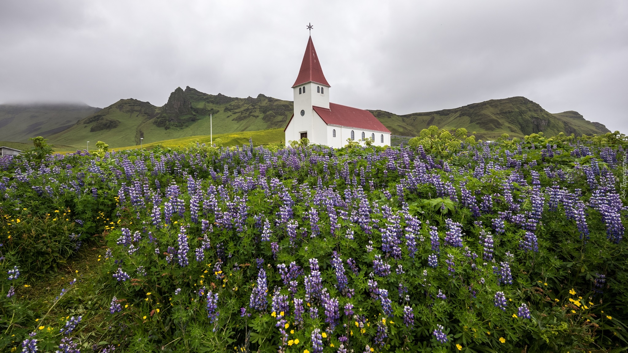 Kościół, Łubin, Góry, Miejscowość Vik i Myrdal, Gmina Myrdalshreppur, Islandia