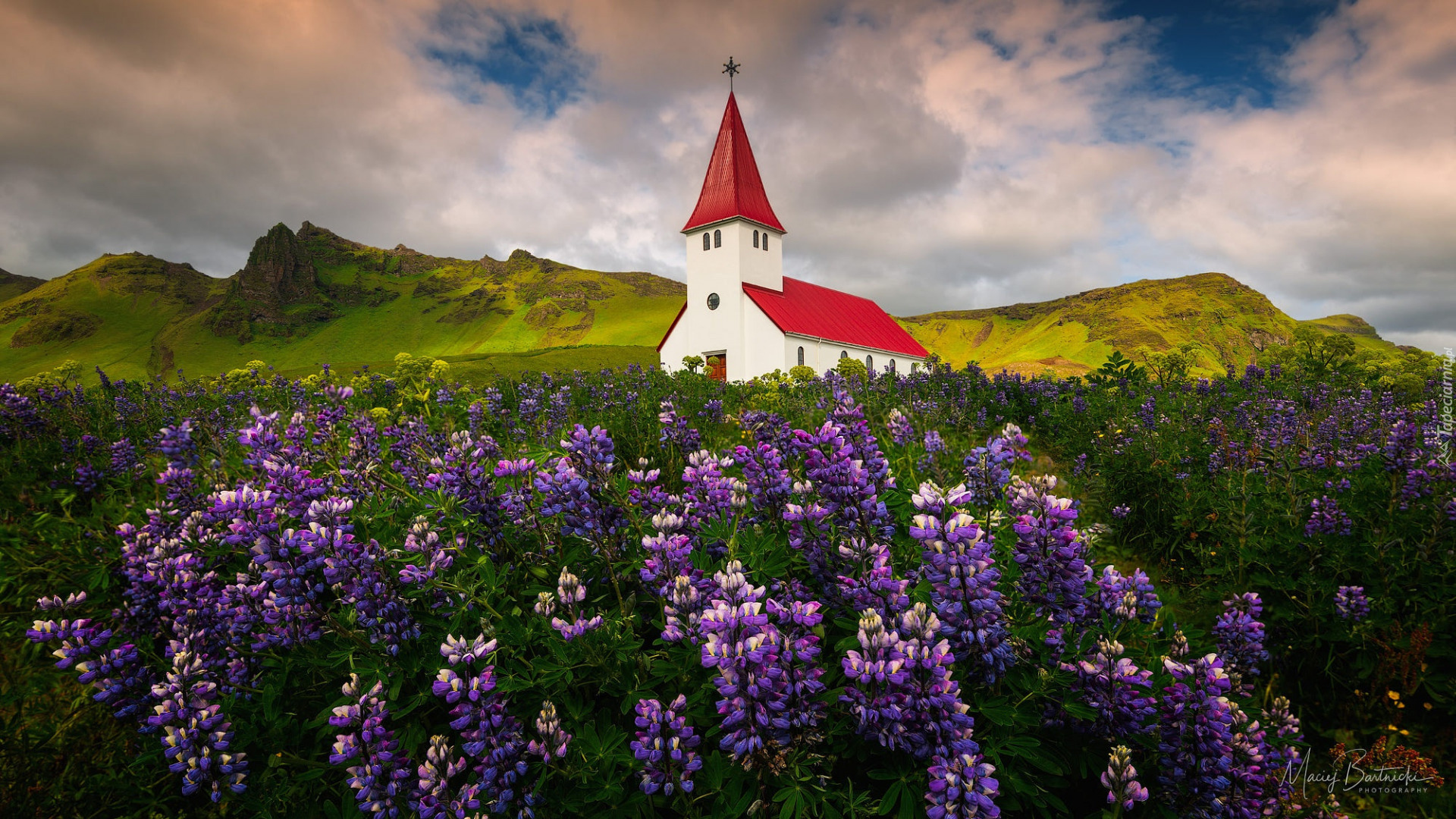 Kościół, Łąka, Łubin, Zielone, Góry, Miejscowość Vik i Myrdal, Gmina Myrdalshreppur, Islandia