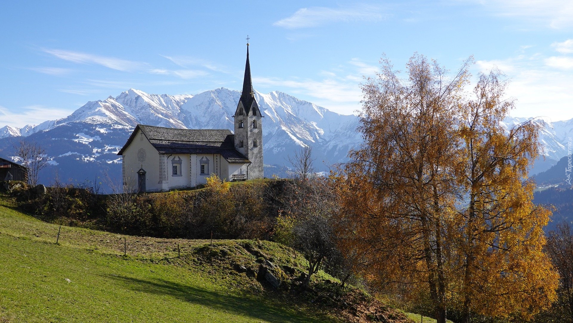 Drzewo, Góry, Alpy, Kościół, Kanton Gryzonia, Szwajcaria