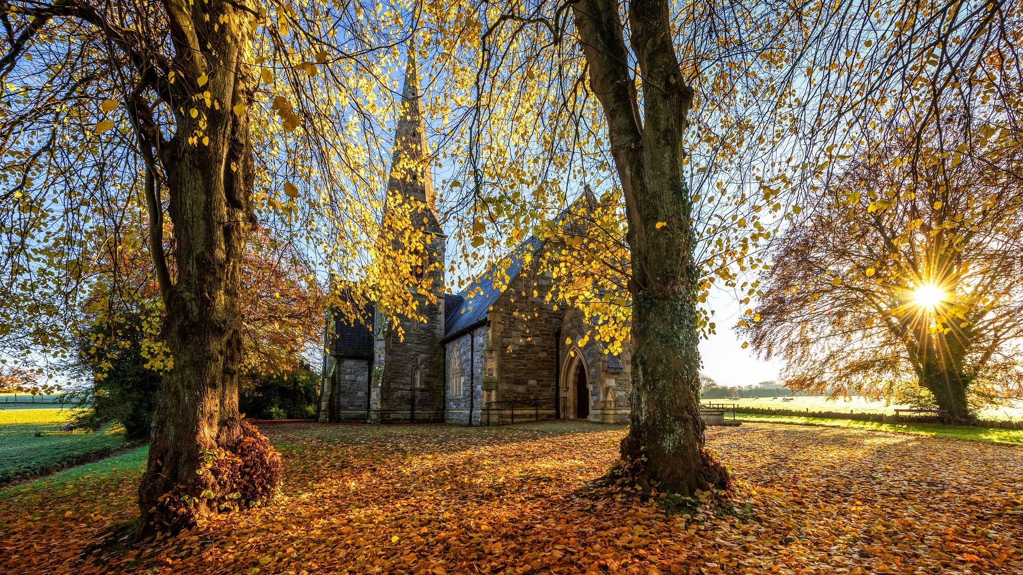 Irlandia Północna, Hrabstwo Tyrone, Strabane, Kościół, Jesień, Drzewa, Promienie słońca