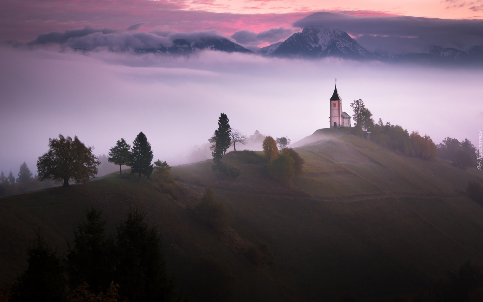 Kościół św Primusa i Felicjana, Mgła, Wzgórze, Góry, Drzewa, Wieś Jamnik, Słowenia