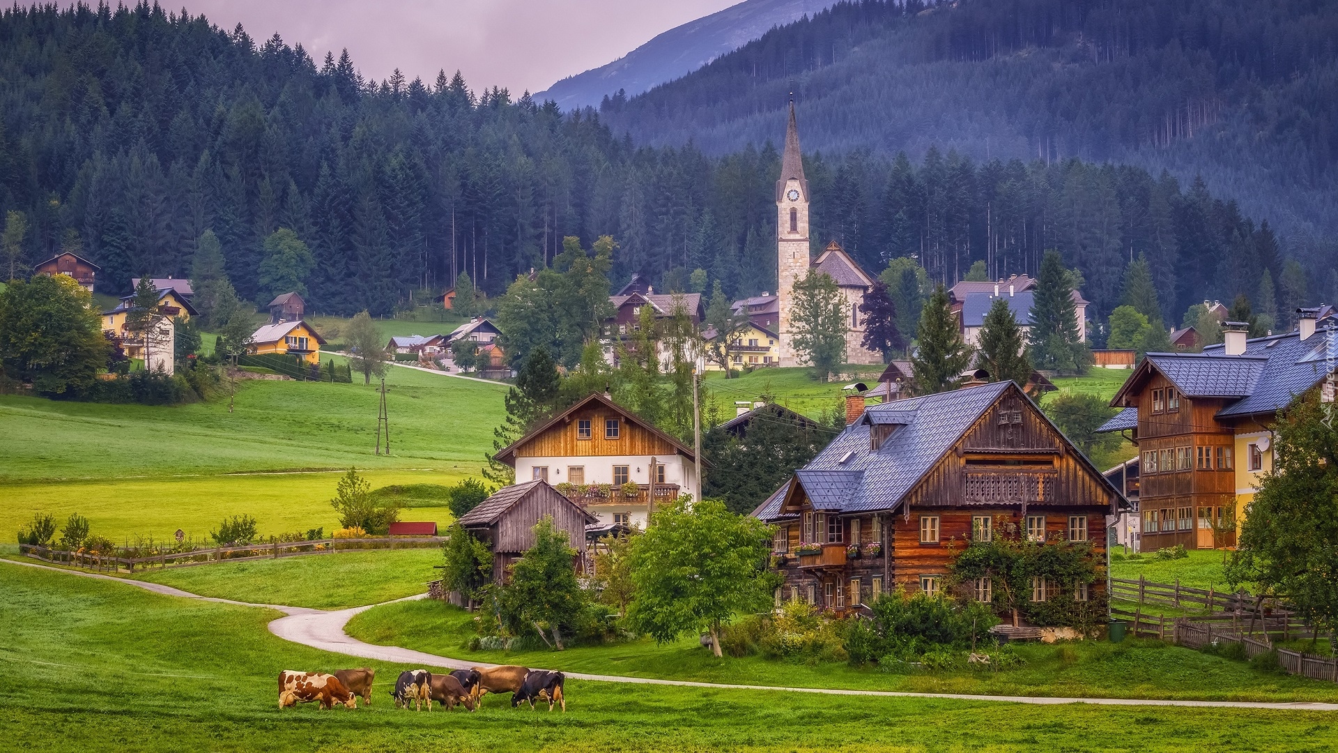 Miejscowość Gosau, Powiat Gmunden, Austria, Góry Dachstein, Kościół, Domy, Droga, Pastwisko, Krowy, Lasy, Drzewa, Mgła