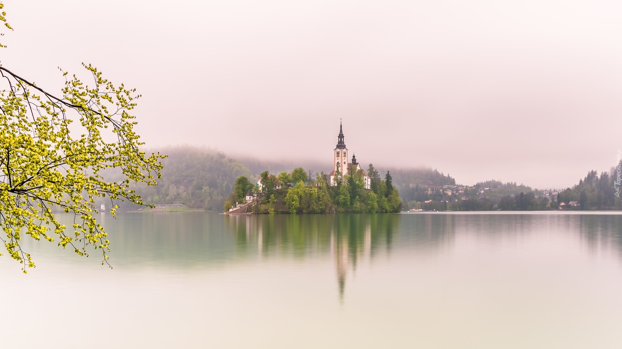 Słowenia, Jezioro, Bled, Wyspa, Blejski Otok, Kościół Zwiastowania Marii Panny, Gałęzie
