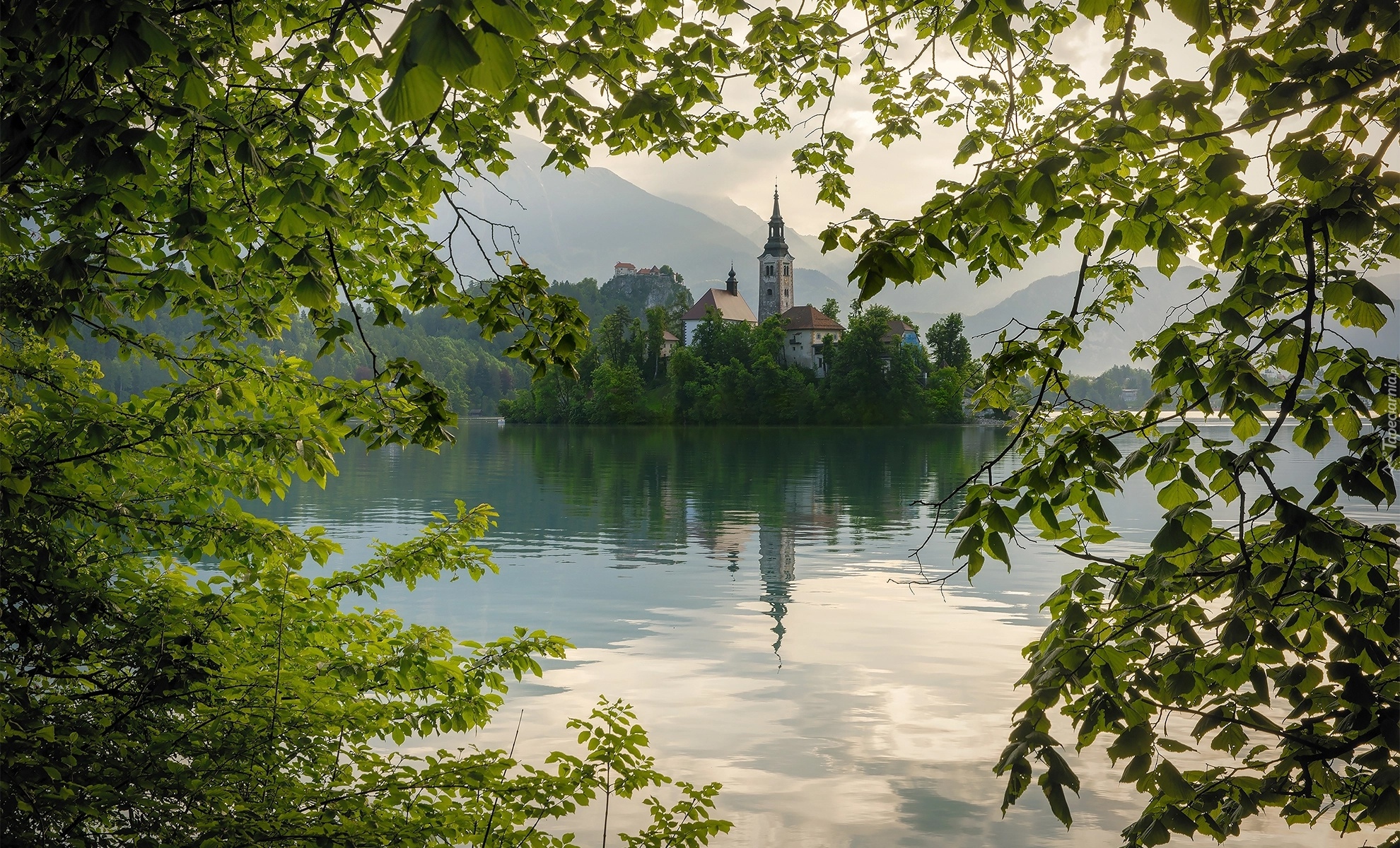 Słowenia, Jezioro Bled, Wyspa Blejski Otok, Kościół Zwiastowania Marii Panny, Zieleń, Gałęzie