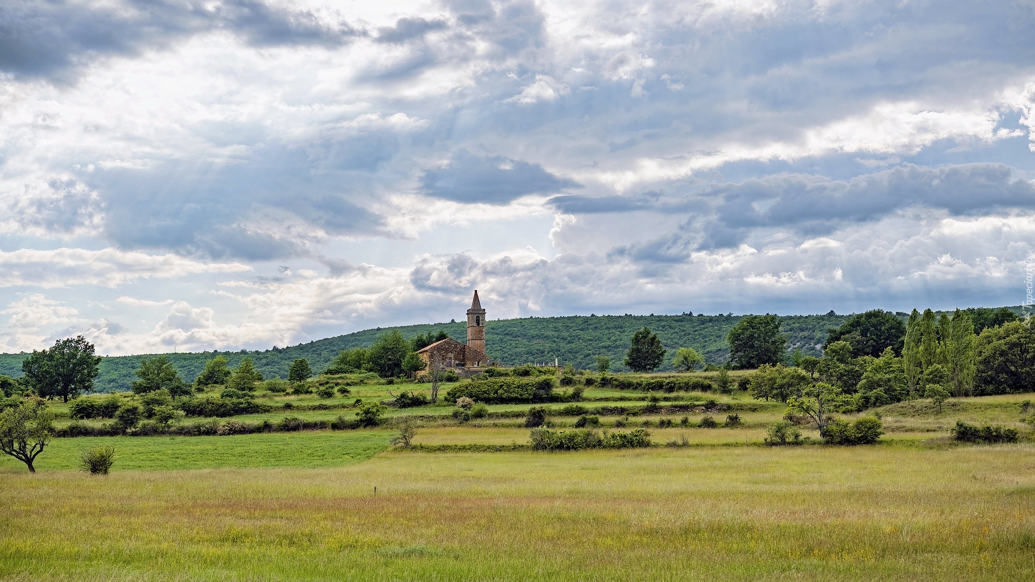 Łąka, Drzewa, Kościół, Mane, Prowansja, Francja