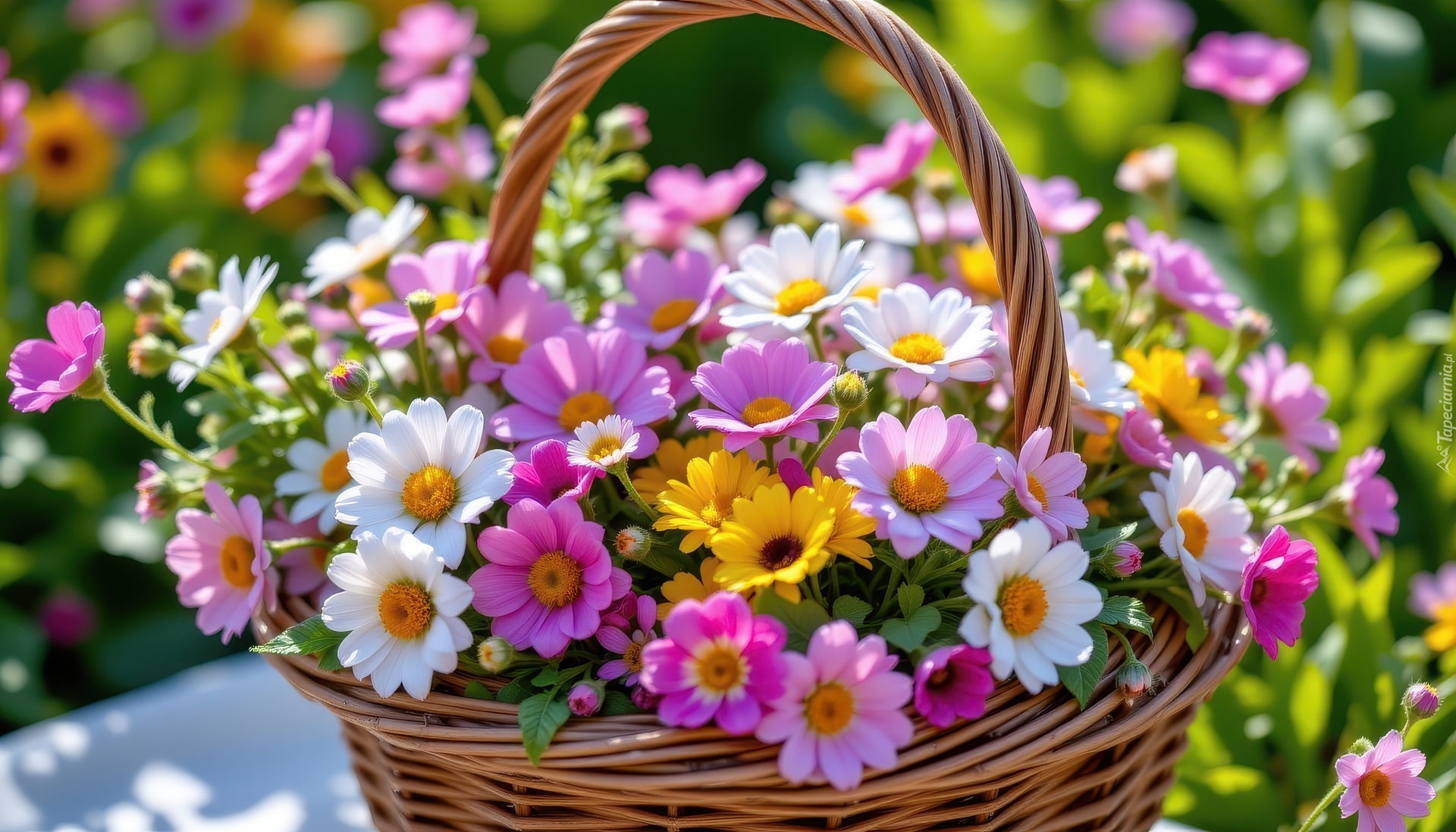 Rozświetlone, Kolorowe, Kwiaty, Wiklinowy, Koszyk