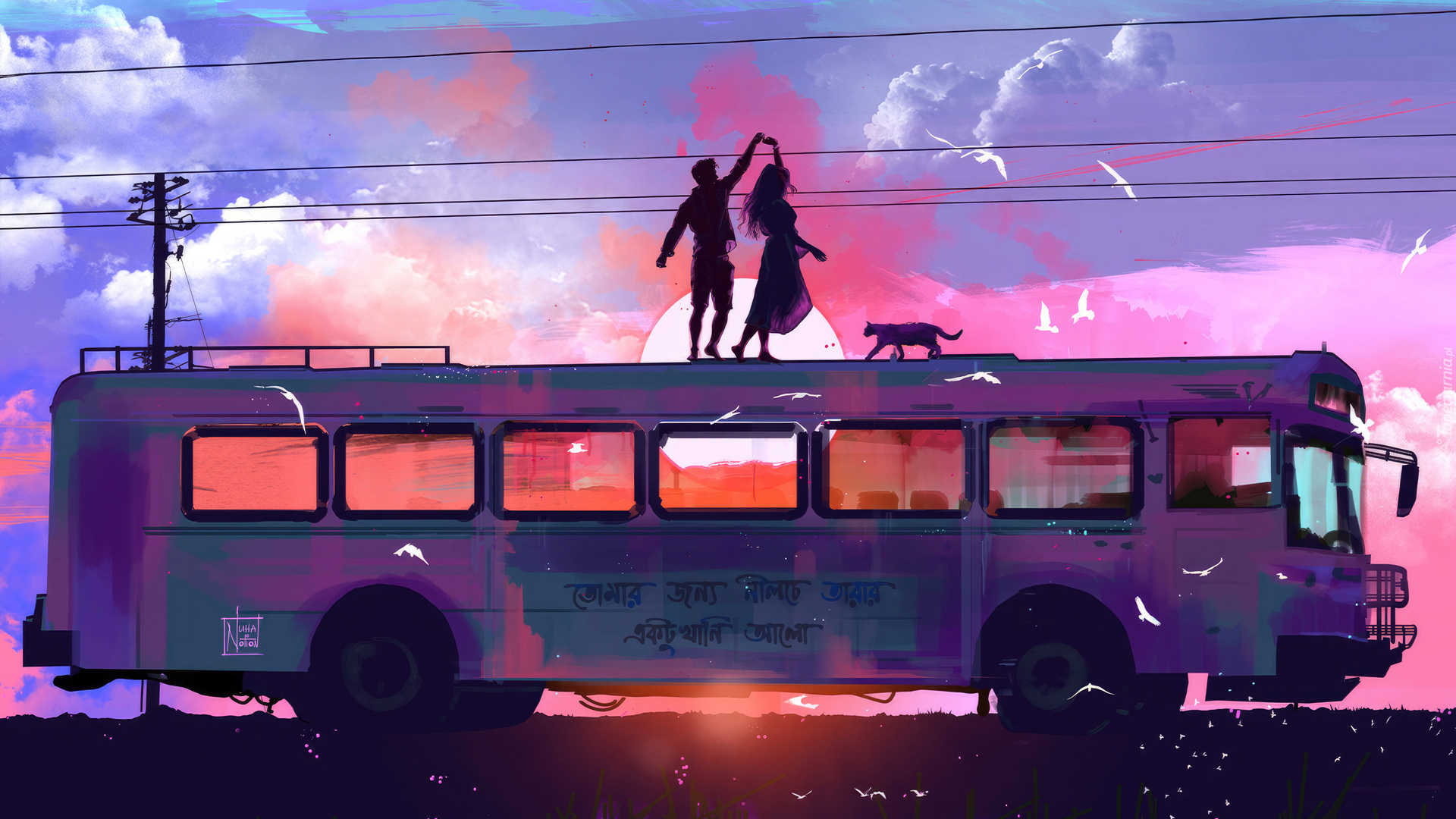 Autobus, Dziewczyna, Chłopak, Kot, Grafika