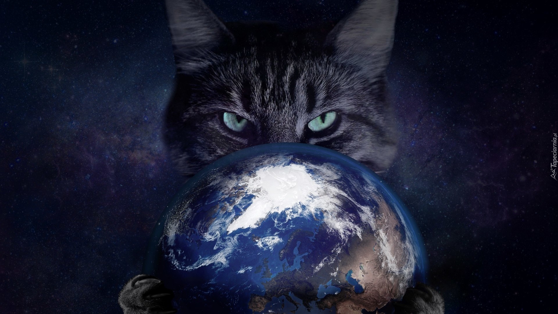 Kot, Planeta, Ziemia, Grafika