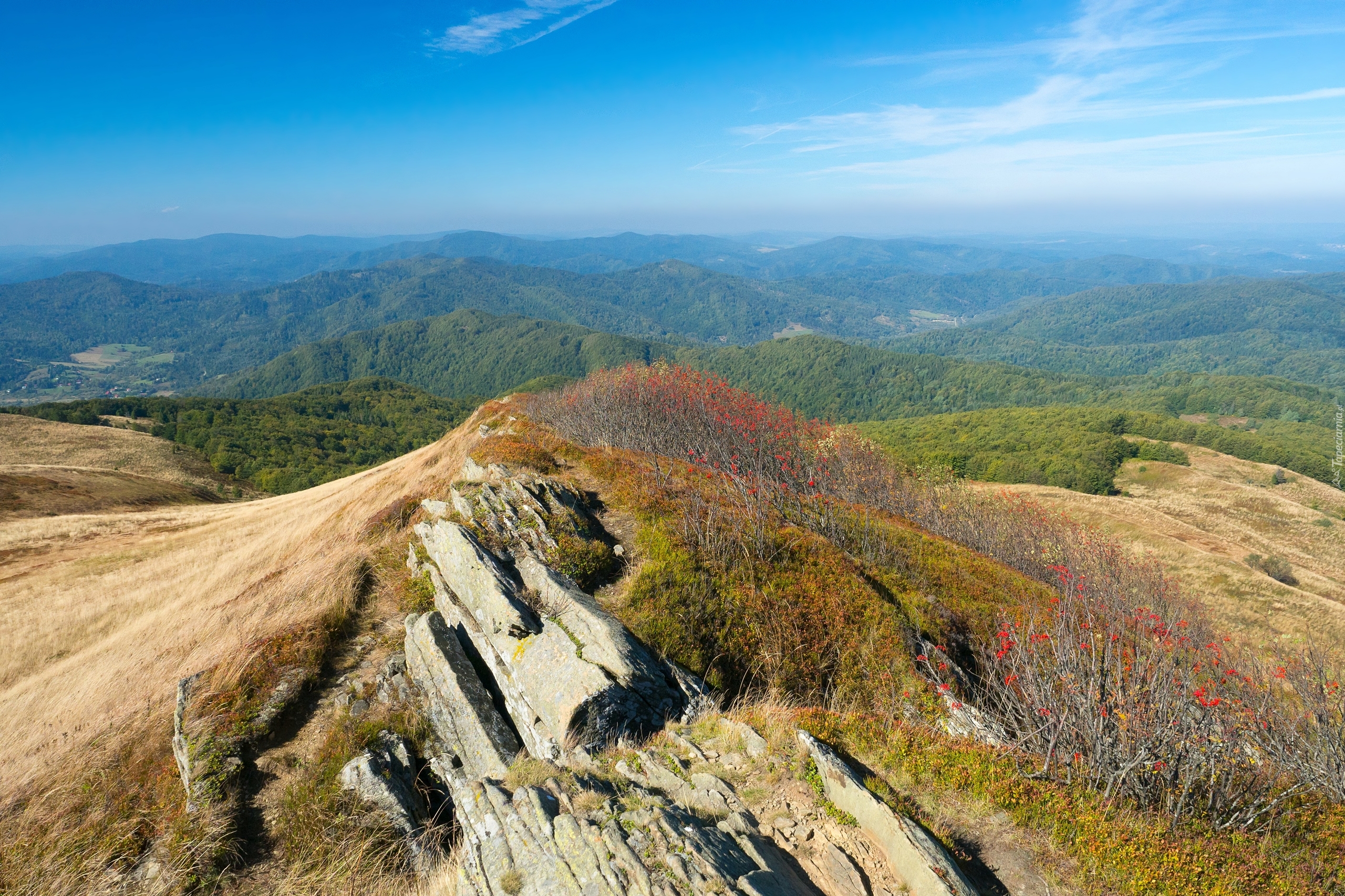 Polska, Góry Bieszczady, Wzgórza