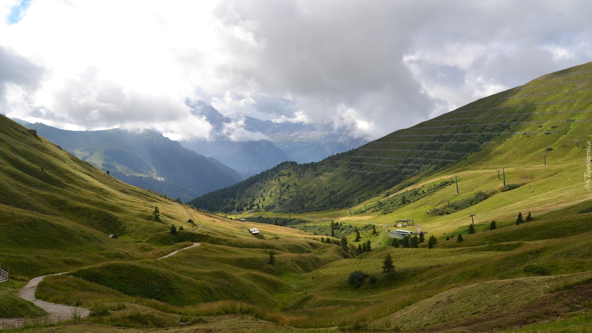 Włochy, Prowincja Belluno, Dolomity, Góry, Łąki, Drzewa