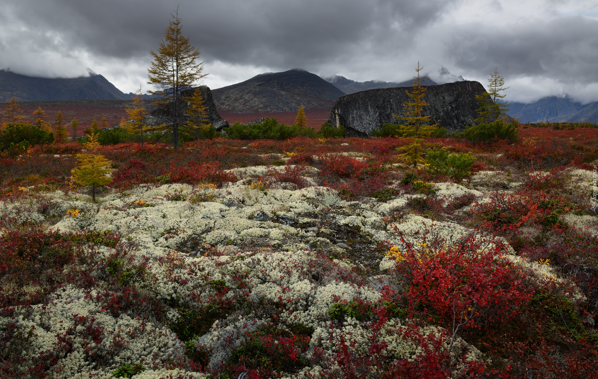 Jesień, Roślinność, Skały, Drzewa, Chmury, Góry Kołymskie, Kołyma, Obwód magadański, Rosja