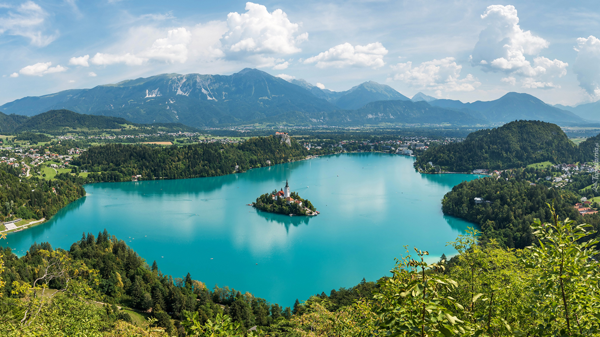 Słowenia, Wyspa Blejski Otok, Jezioro Bled, Góry Alpy Julijskie,  Drzewa, Roślinność