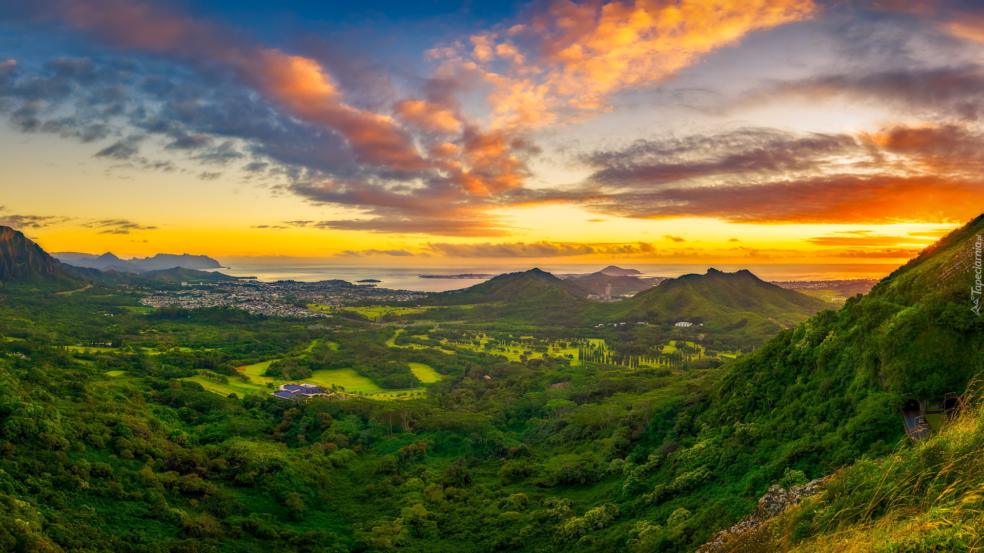 Stany Zjednoczone, Hawaje, Honolulu, Nuuanu Punchbowl, Wzgórza, Góry, Drzewa, Chmury