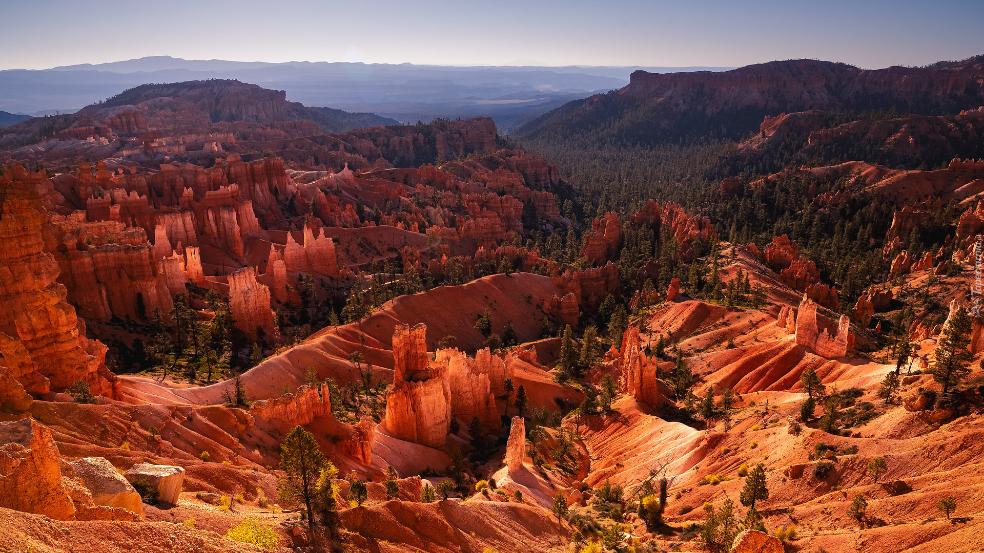 Góry, Skały, Kanion, Drzewa, Park Narodowy Bryce Canyon, Utah, Stany Zjednoczone