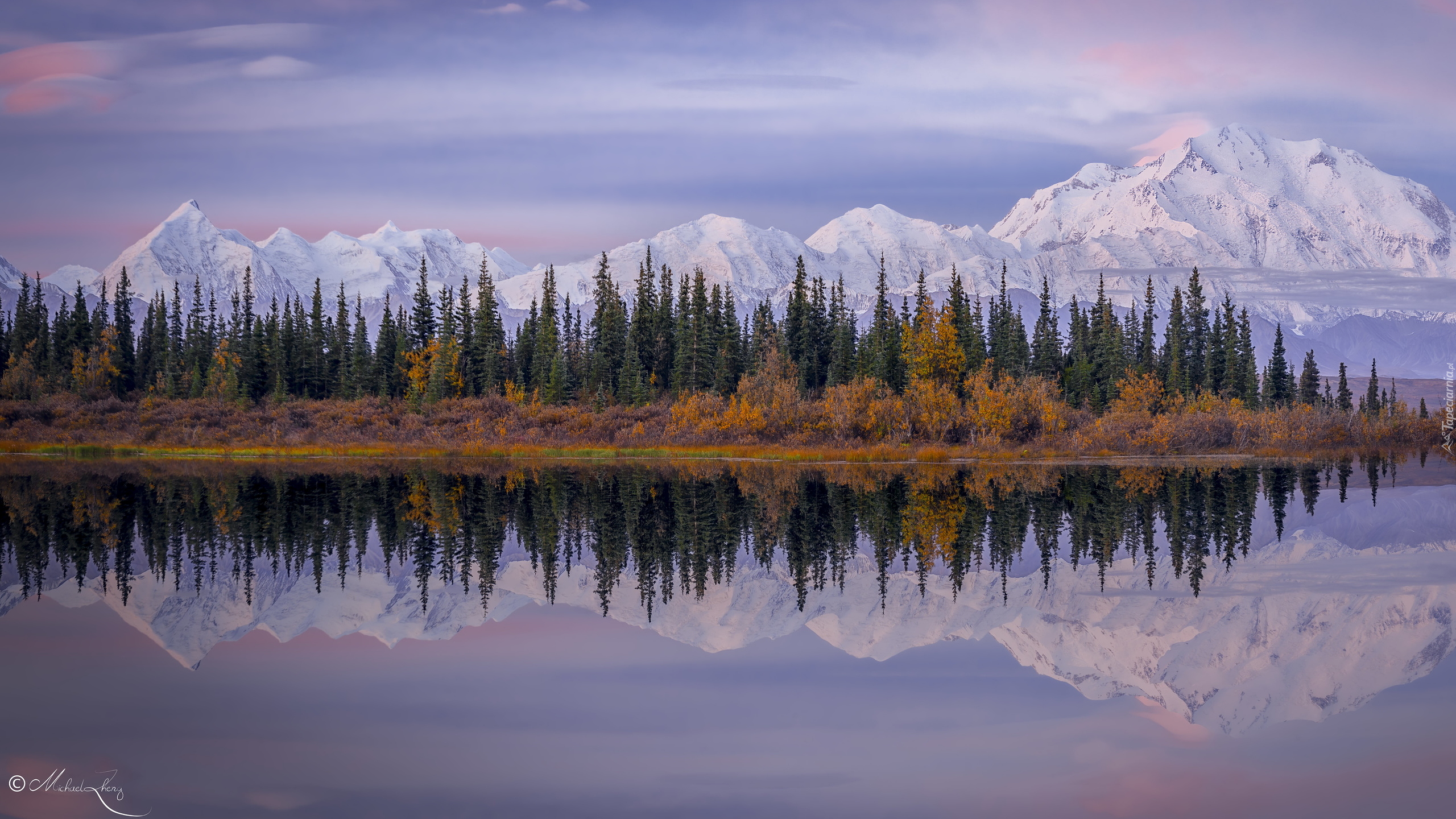 Park Narodowy Denali, Góry, Kordyliery, Góra Denali, McKinley, Drzewa, Las, Rzeka, Alaska, Stany Zjednoczone