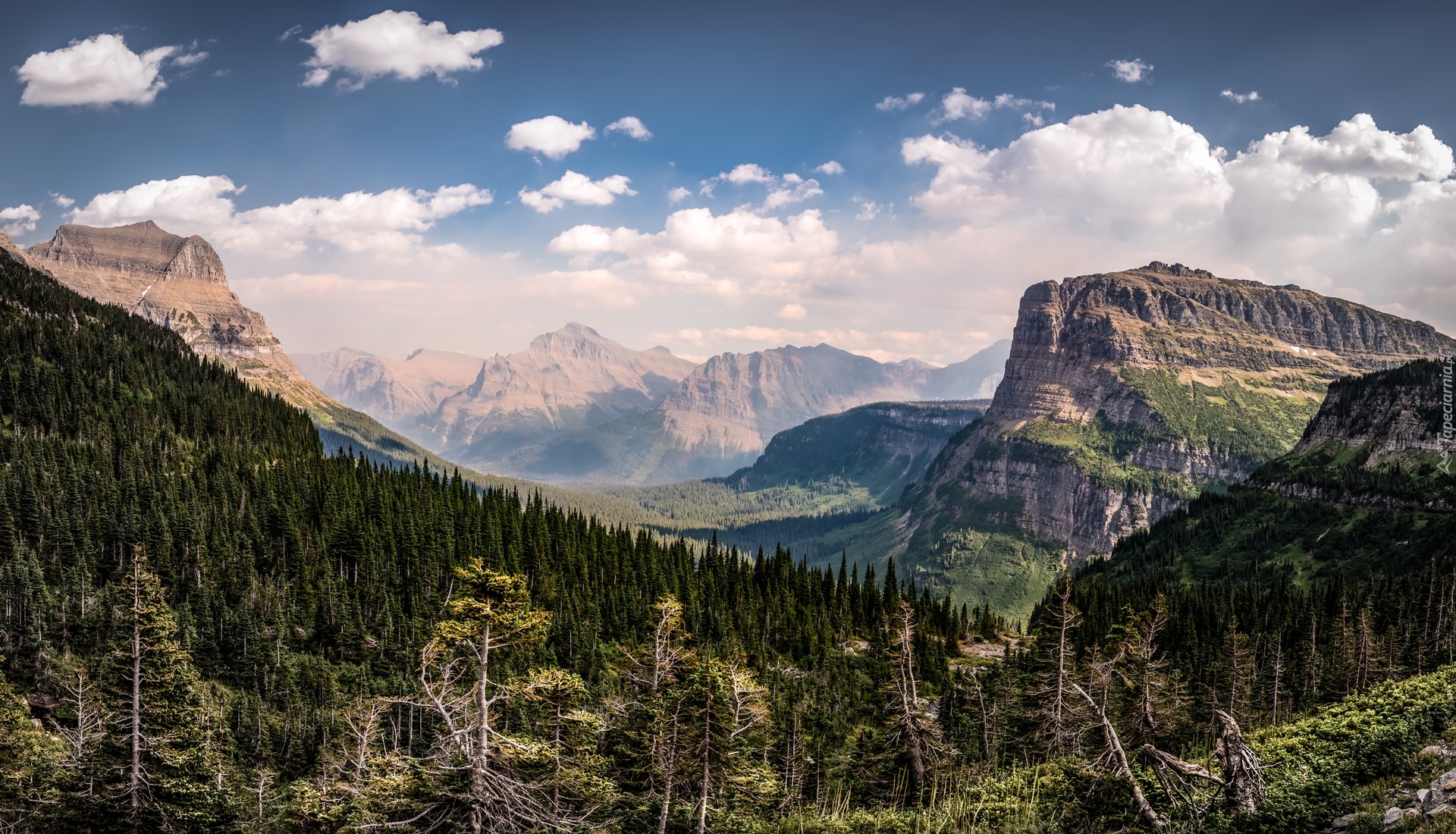 Park Narodowy Glacier, Góry Skaliste, Las, Chmury, Montana, Stany Zjednoczone