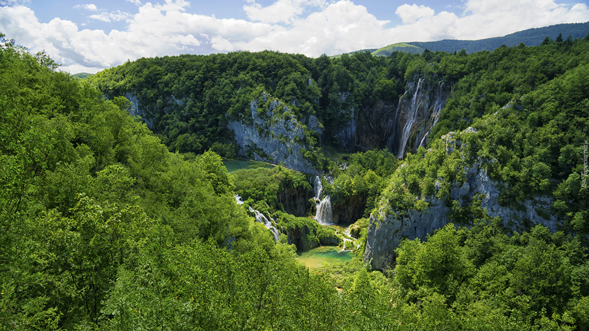 Chorwacja, Wodospady, Lasy, Drzewa, Krzewy, Park Narodowy Jezior Plitwickich, Skały