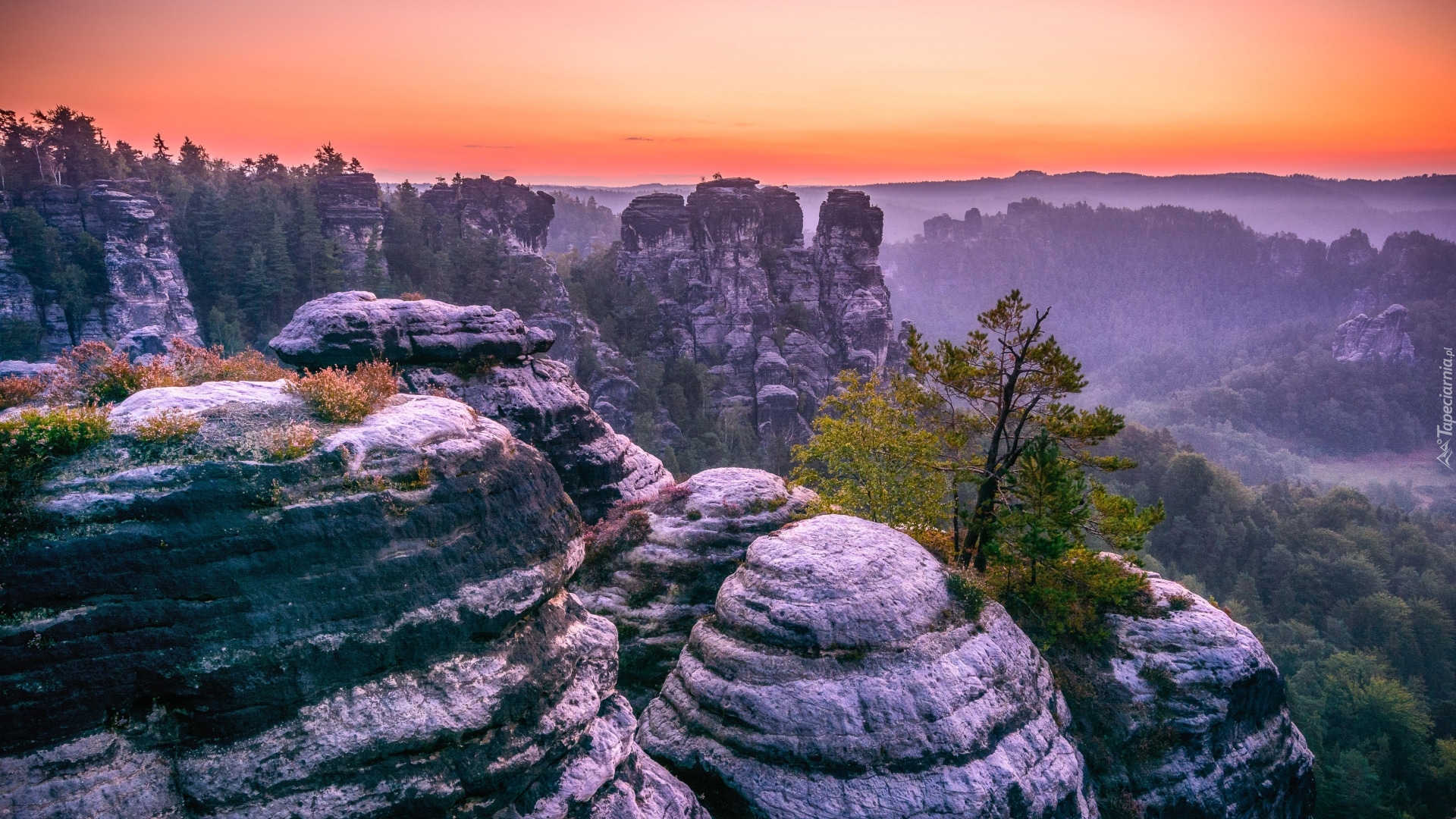 Park Narodowy Saskiej Szwajcarii, Skały, Formacja Bastei, Góry Połabskie, Lasy, Zachód słońca, Sosna, Niemcy