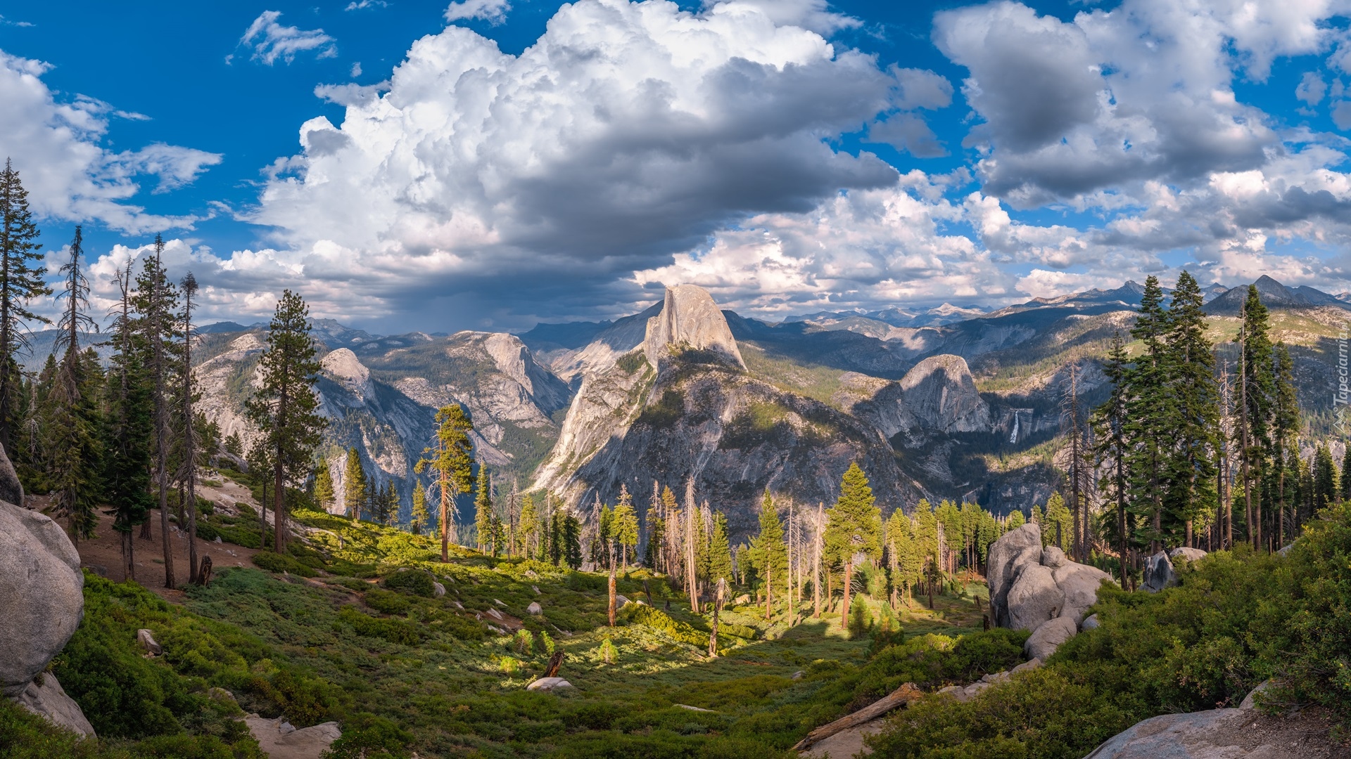Stany Zjednoczone, Stan Kalifornia, Park Narodowy Yosemite, Drzewa, Góry, Sierra Nevada, Chmury