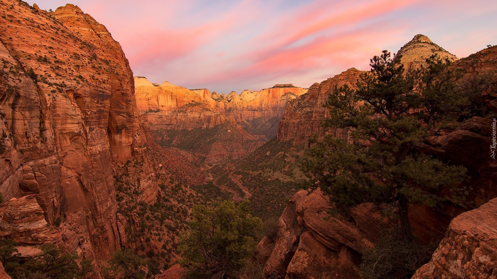 Góry, Skały, Drzewa, Sosny, Kanion, Zion Canyon, Park Narodowy Zion, Utah, Stany Zjednoczone