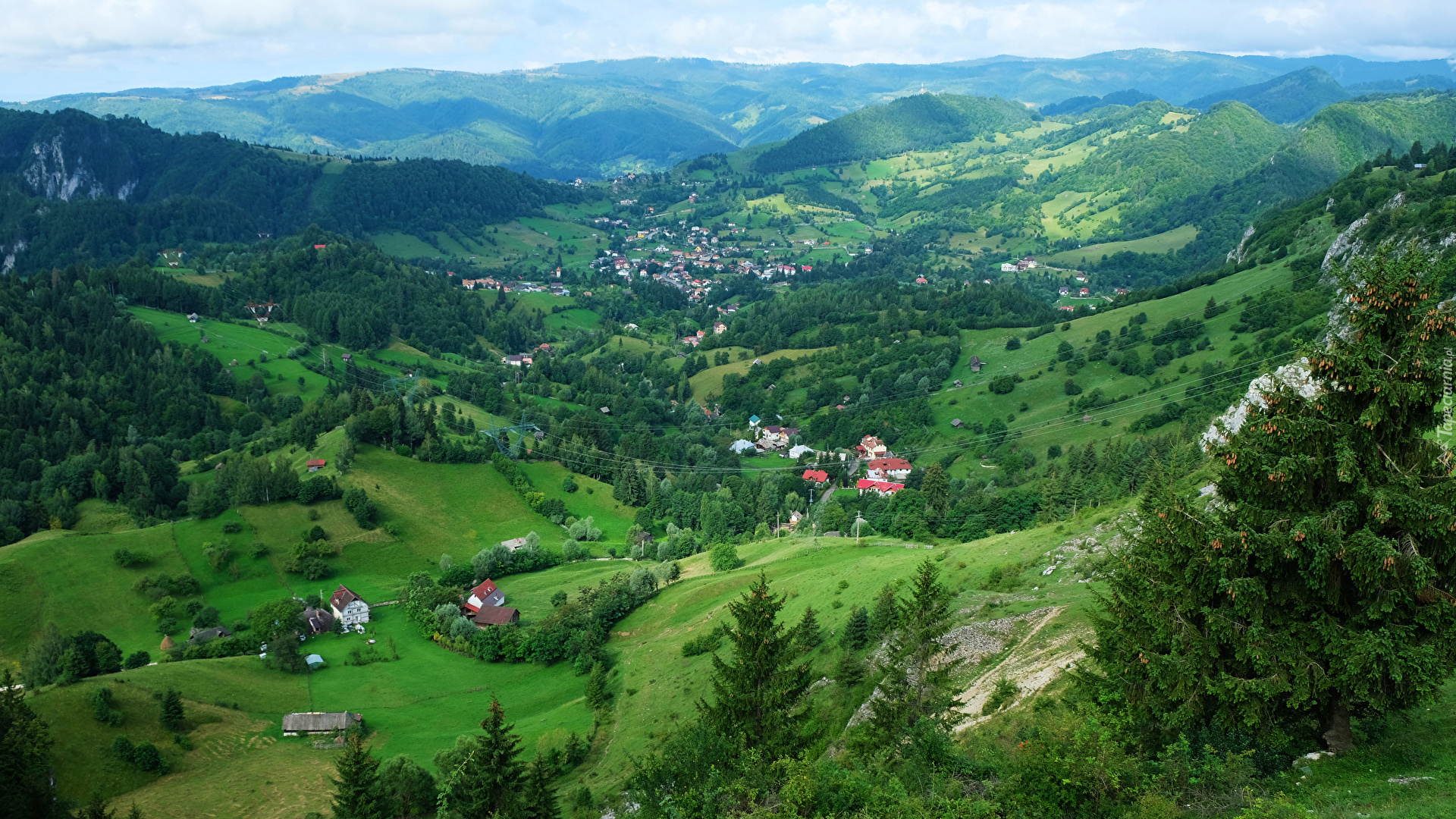 Domy, Góry Bucegi, Góry Piatra Craiului, Drzewa, Dolina, Transylwania, Rumunia