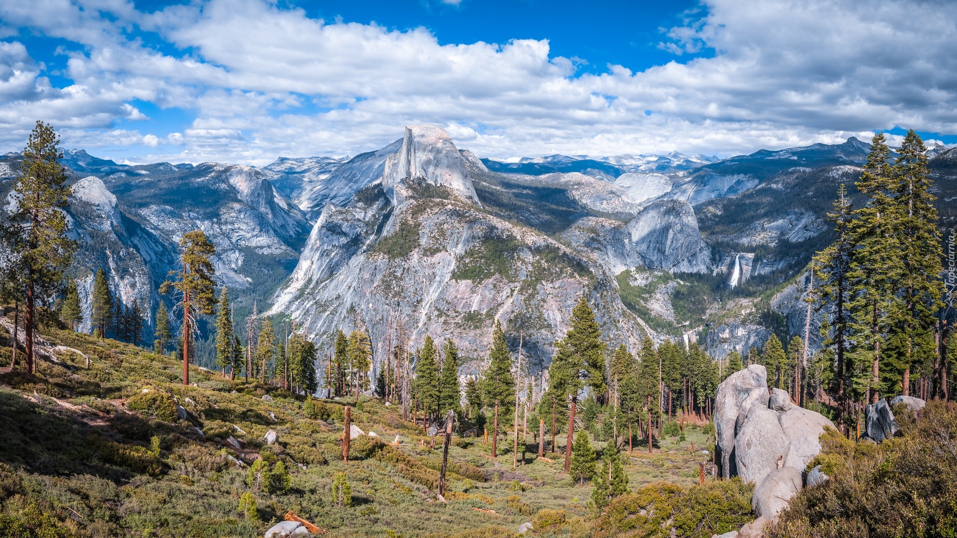 Widok, Punkt widokowy Glacier Point, Dolina, Yosemite Valley, Góry, Sierra Nevada, Szczyt Half Dome, Drzewa, Sosny, Park Narodowy Yosemite, Kalifornia, Stany Zjednoczone