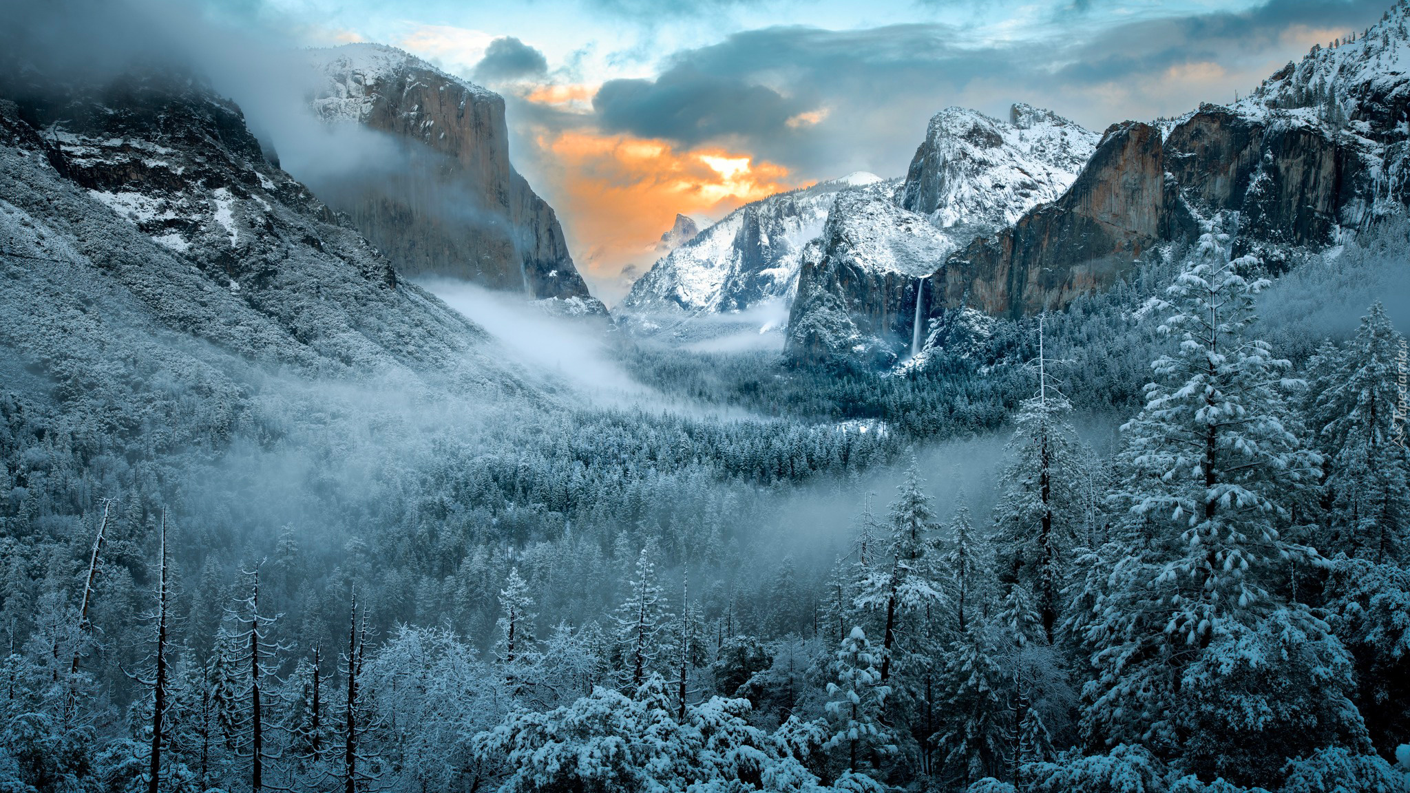 Zima, Mgła, Śnieg, Drzewa, Góry, Park Narodowy Yosemite, Kalifornia, Stany Zjednoczone