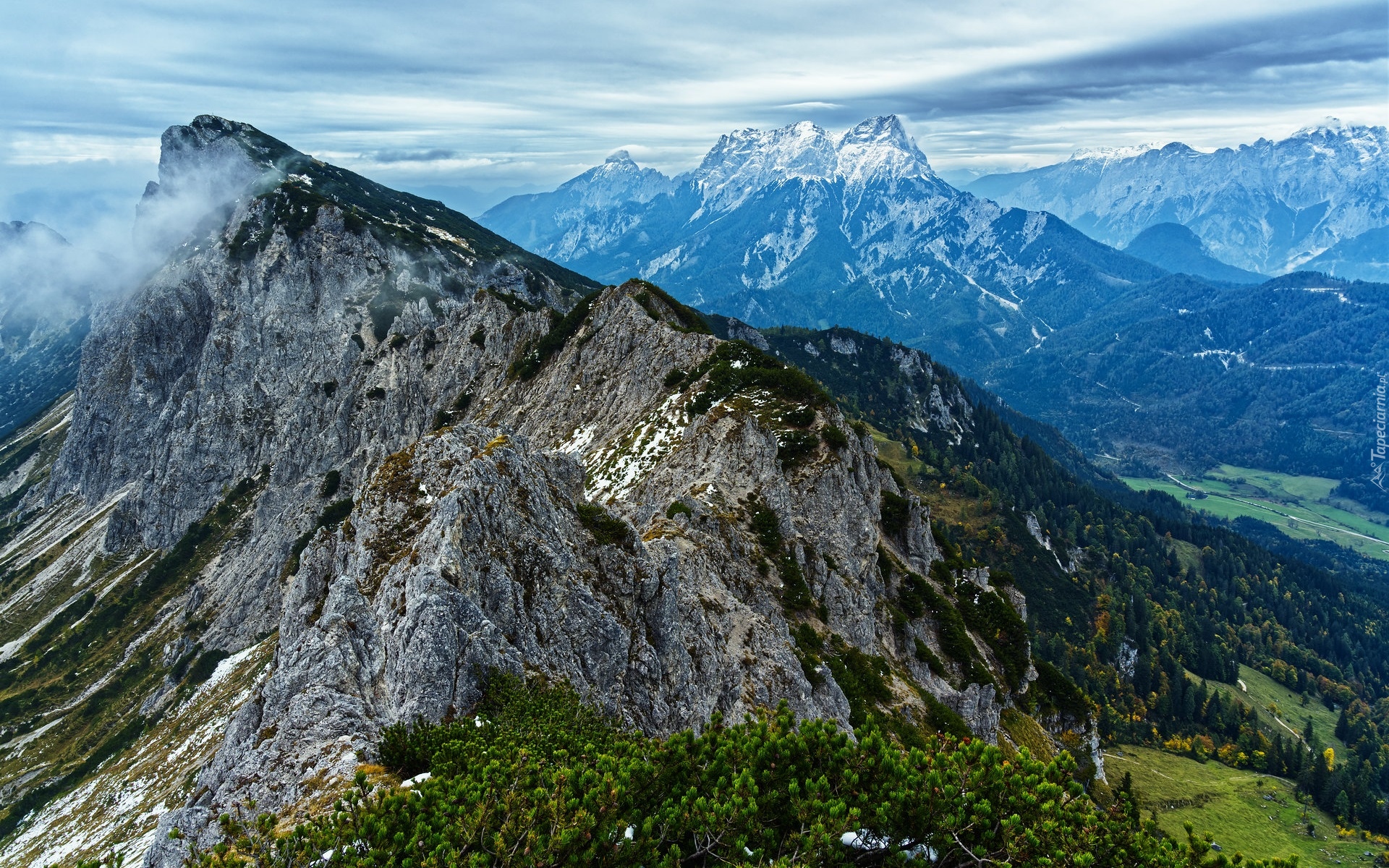 Góry, Alpy Ennstalskie, Szczyty, Drzewa, Krzewy, Park Narodowy Gesause, Austria