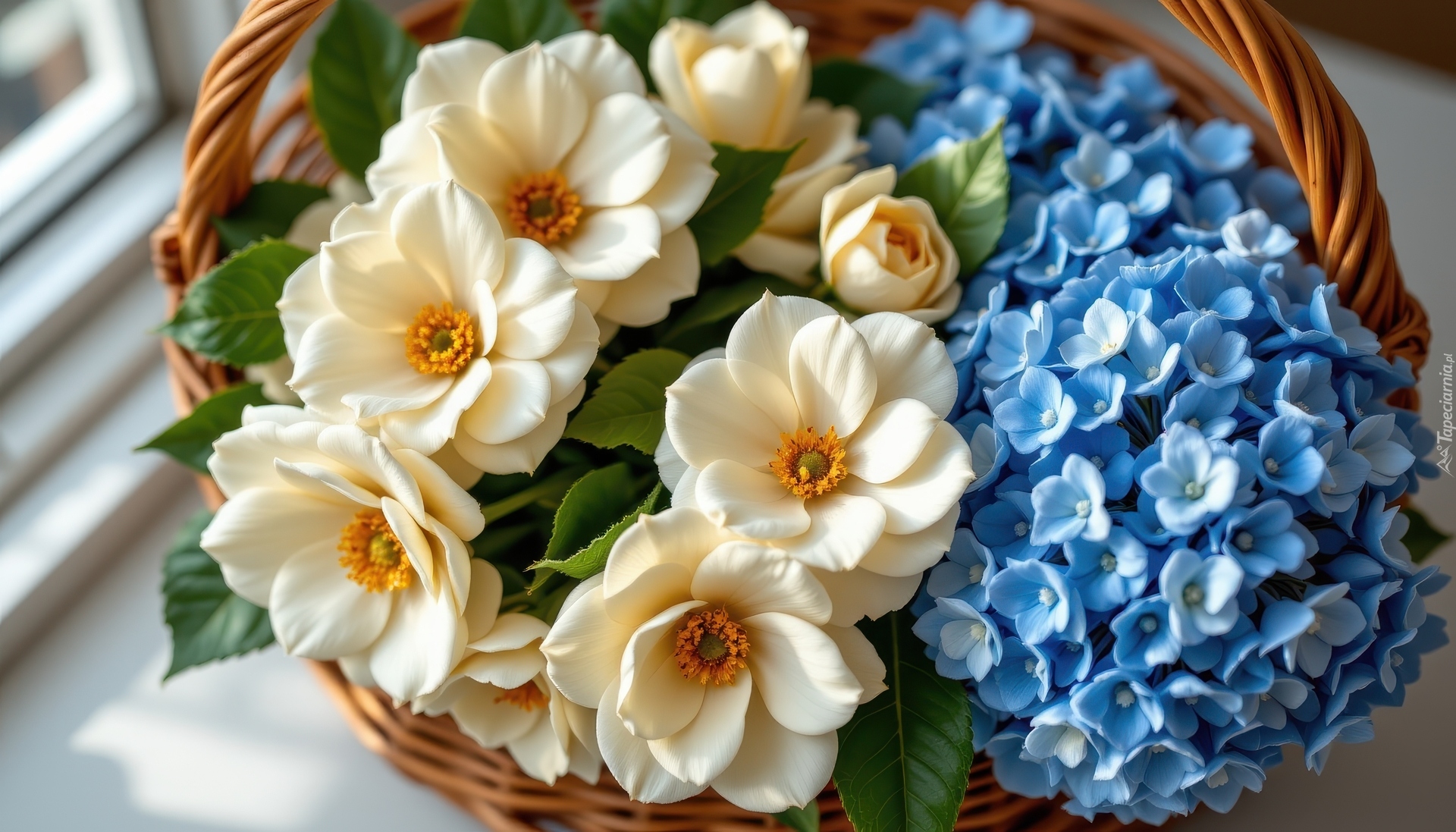 Kwiaty, Kamelie, Hortensje, Niebieskie, Koszyk, AI