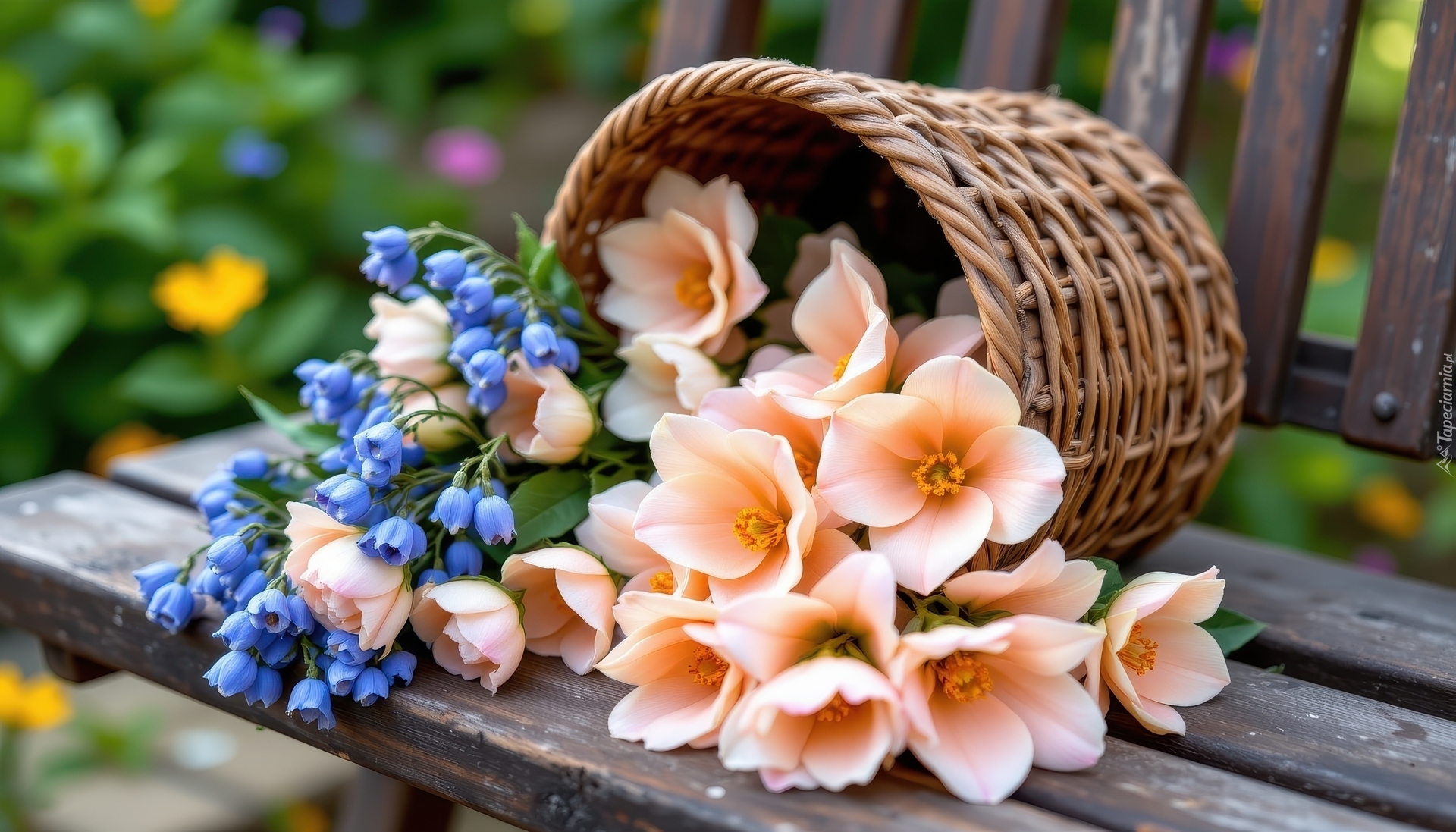 Kremowe, Kwiaty, Niebieskie, Dzwonki, Koszyk, Ławka