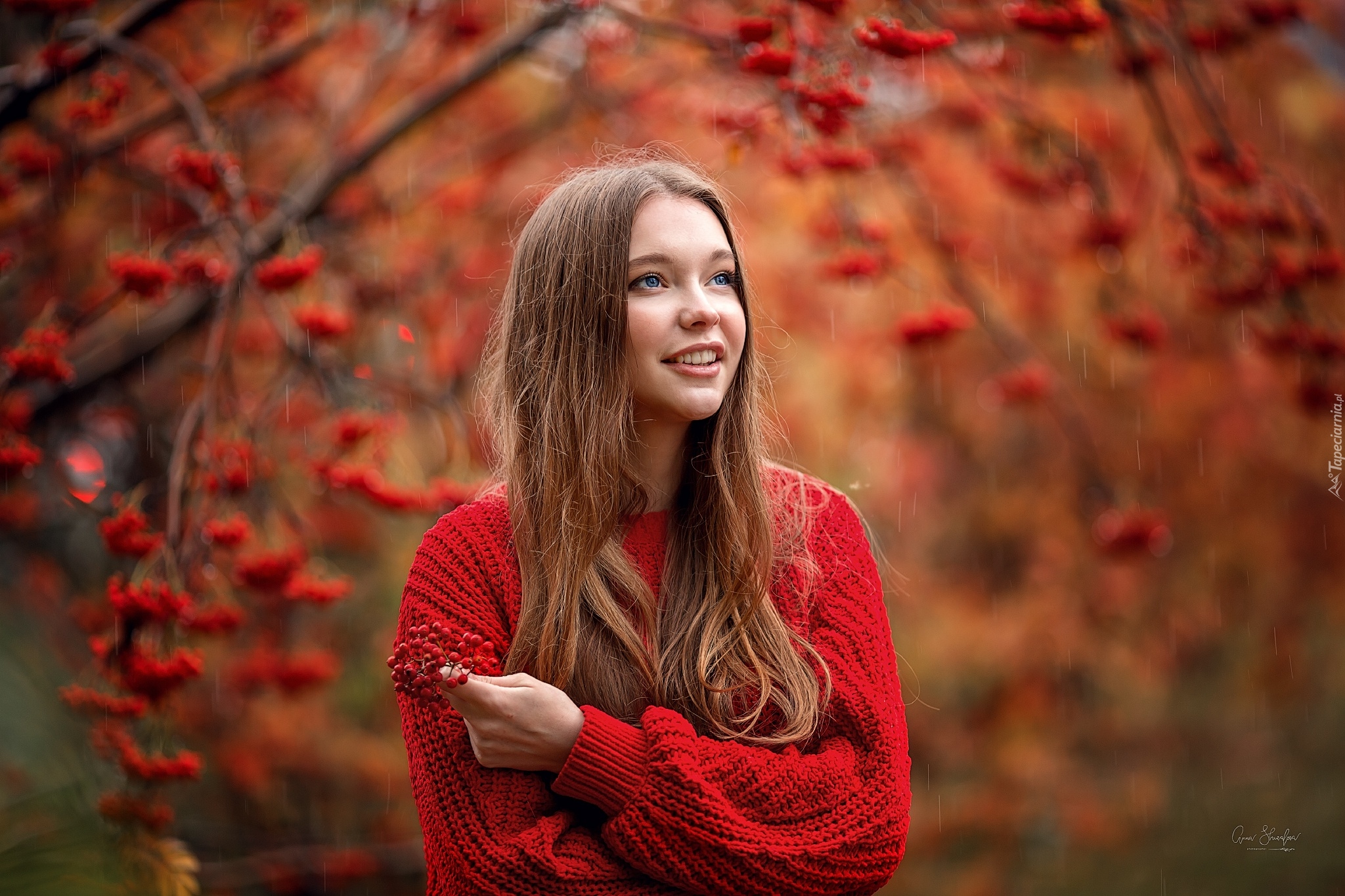 Kobieta, Szatynka, Niebieskooka, Modelka, Kristina Vostrukhina, Czerwony, Sweter, Jarzębina, Deszcz