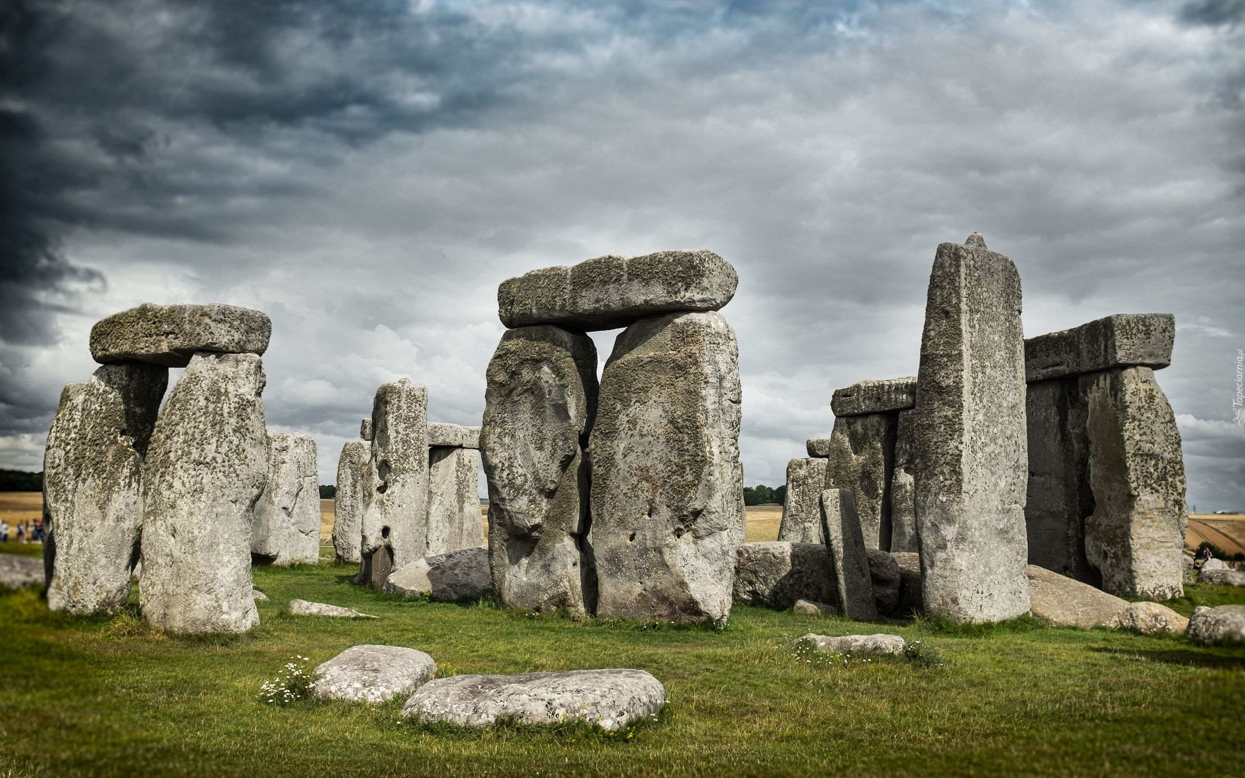 Kamienie, Krąg, Kromlech Stonehenge, Okolice Salisbury, Hrabstwo Wiltshire, Anglia