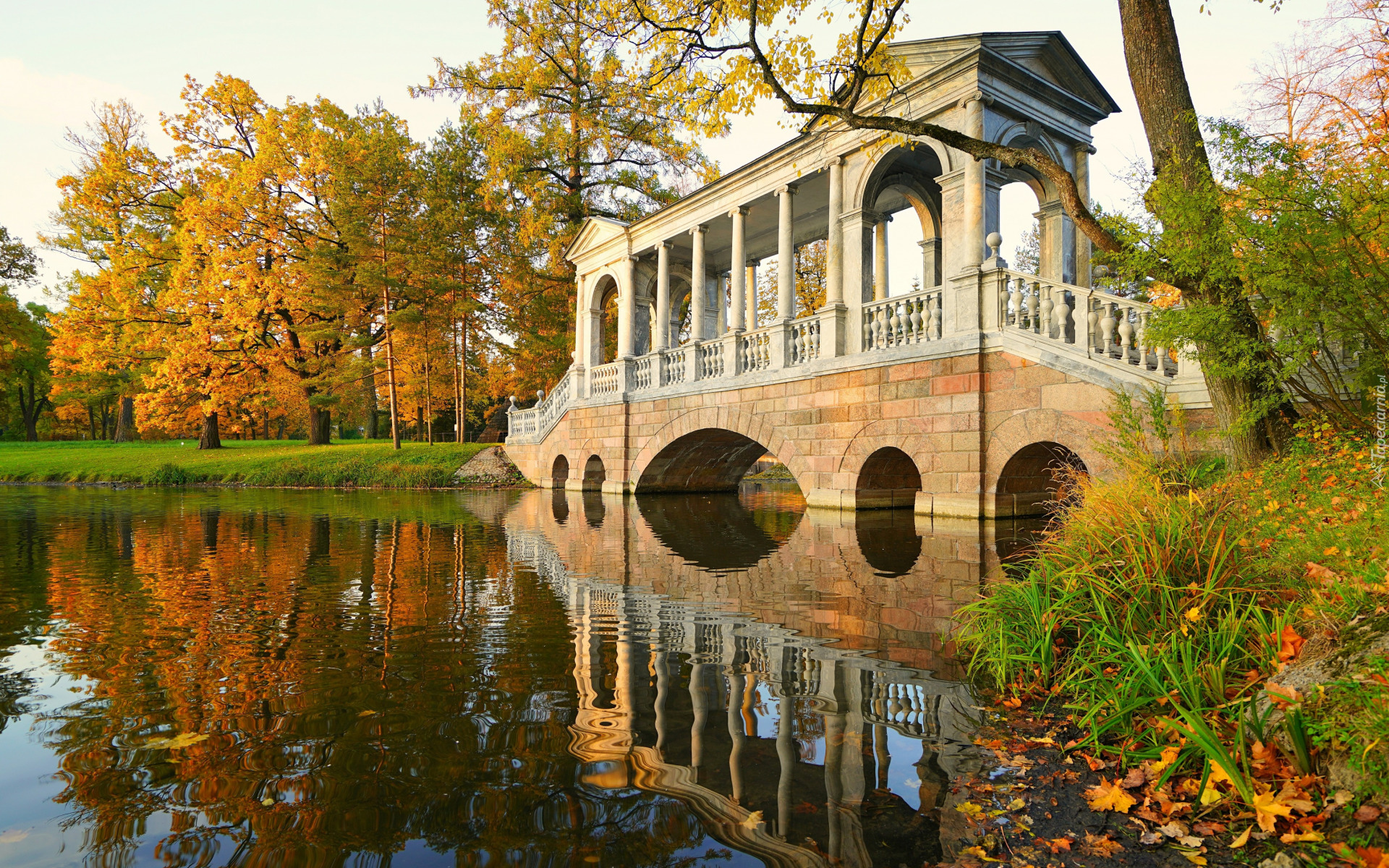 Park, Jesień, Kryty, Most, Staw, Drzewa, Carskie Sioło, Petersburg, Rosja