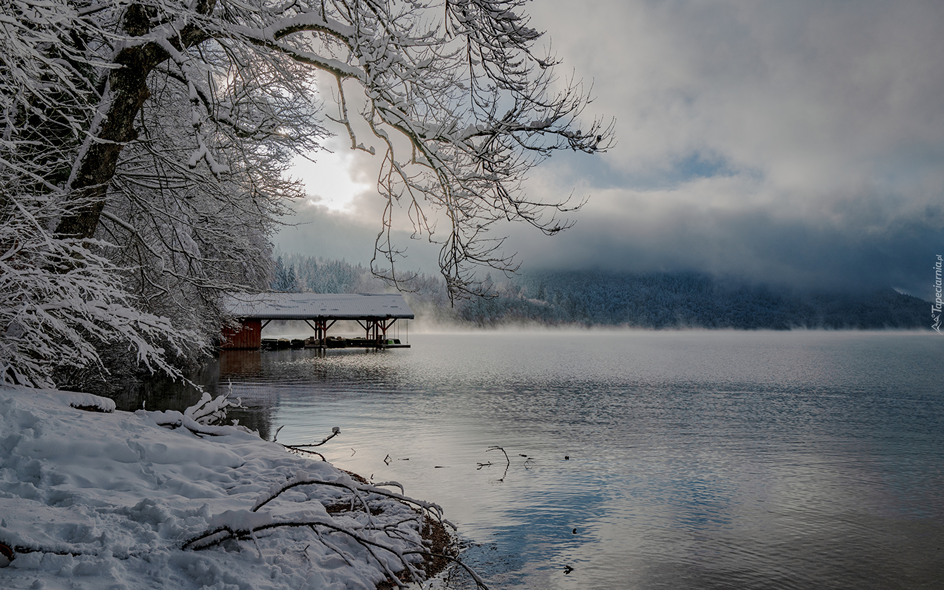 Niemcy, Bawaria, Zima, Jezioro Alpsee, Drzewa, Gałązki, Śnieg, Mgła, Chmury