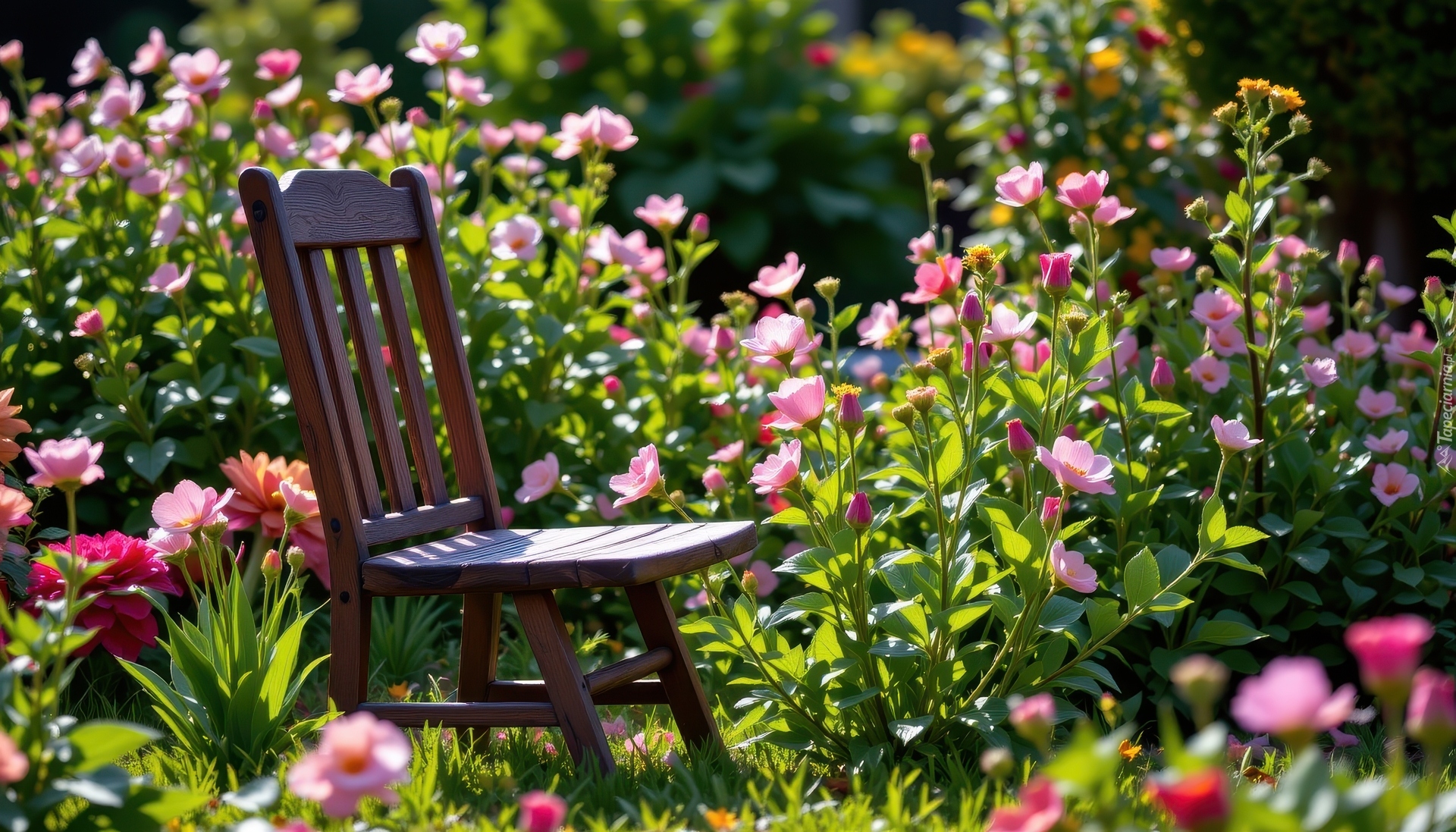 Kwiaty, Krzesło, Ogród