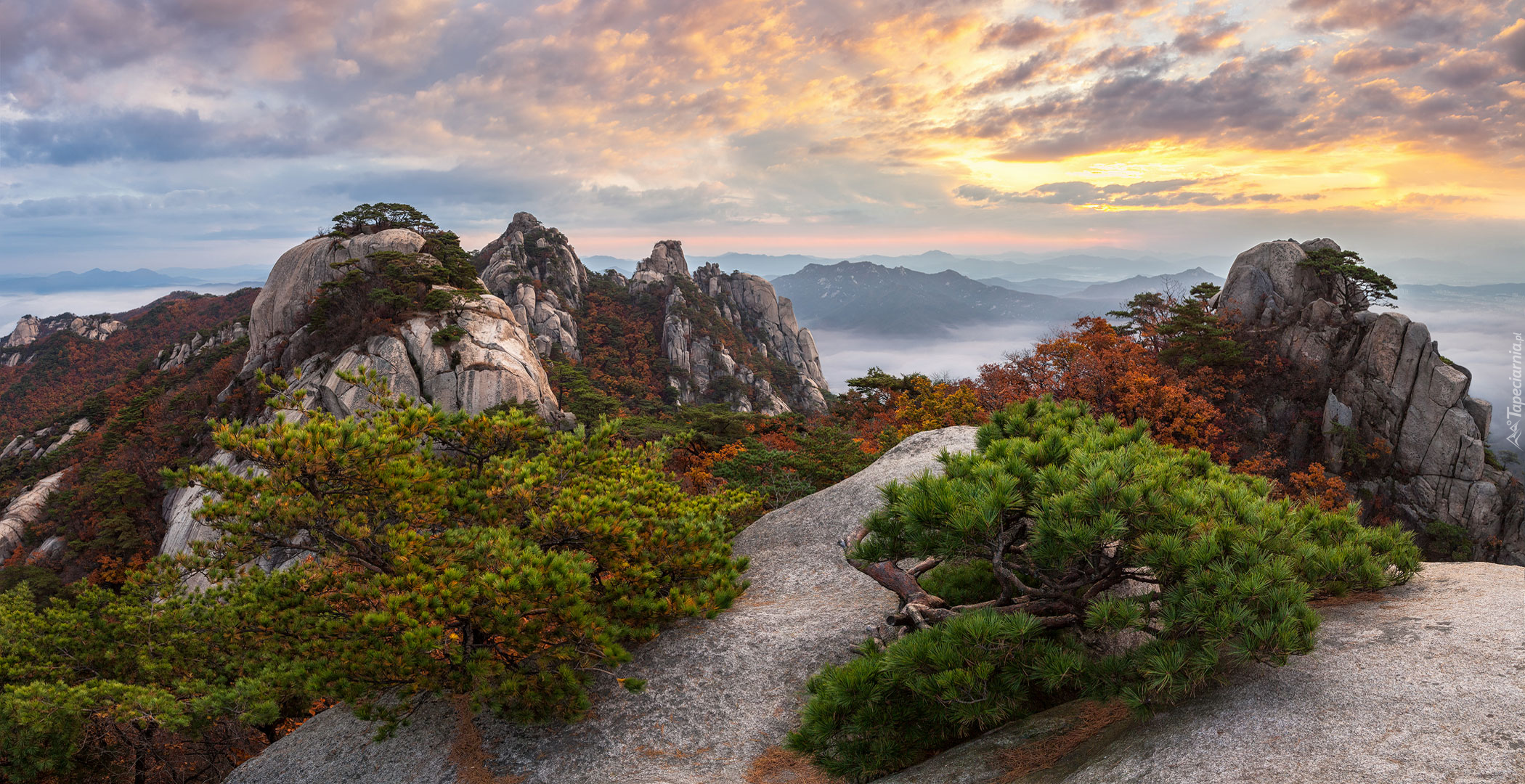 Góry, Drzewa, Chmury, Skały, Wschód słońca, Góra Dobongsan, Park Narodowy Bukhansan, Prowincja Gyeonggi-do, Korea Południowa
