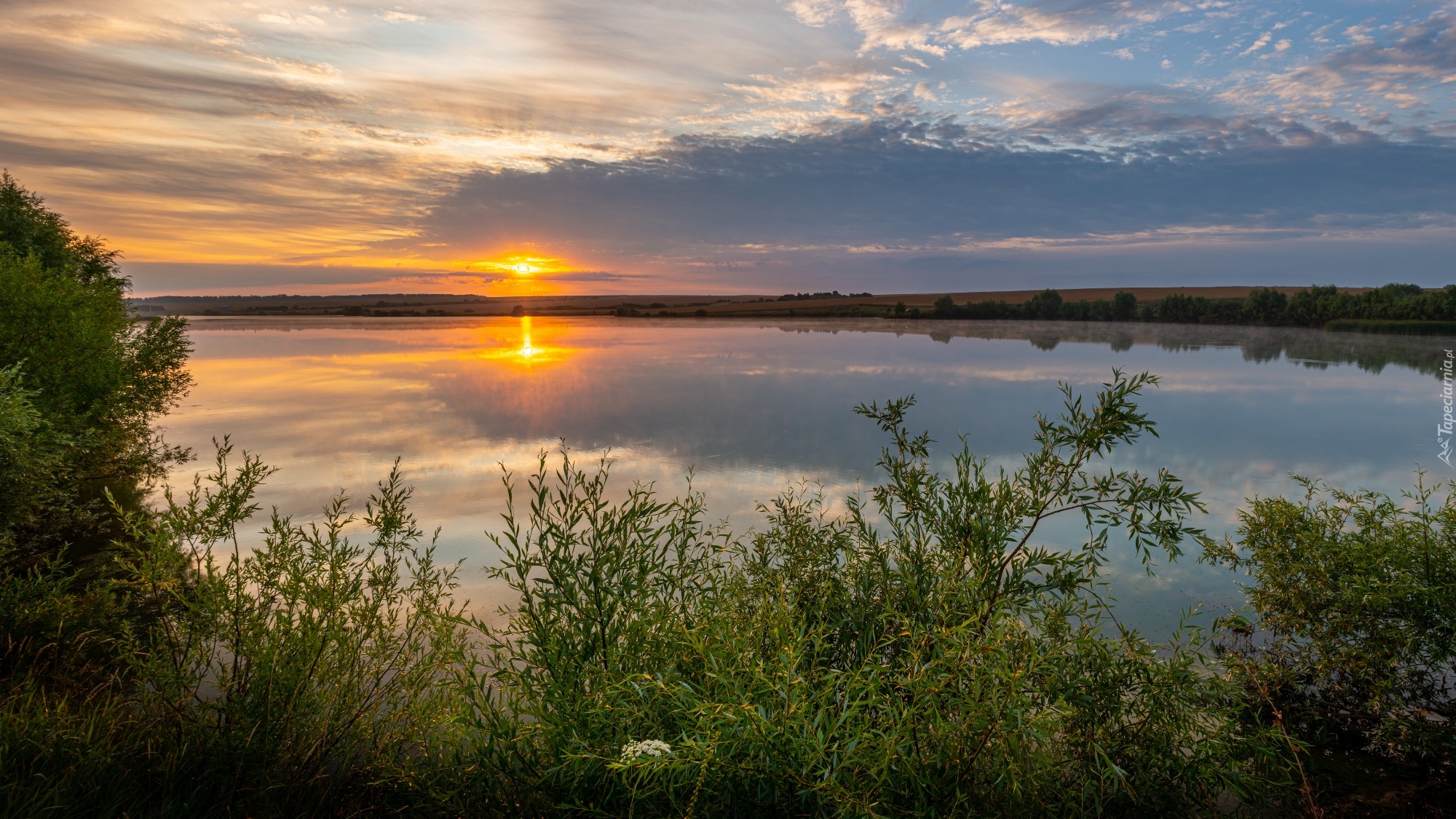 Rzeka, Krzewy, Wschód słońca