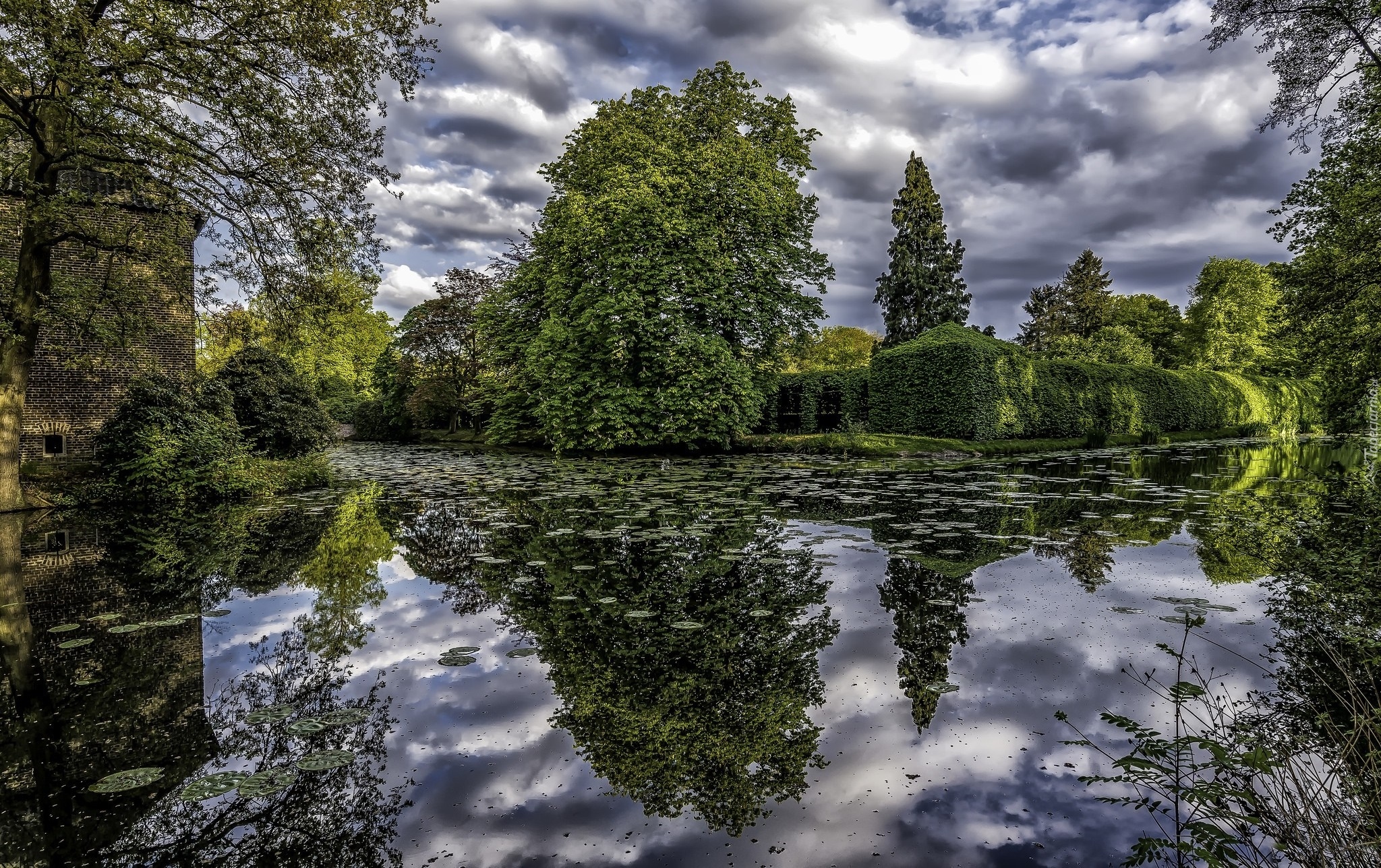 Park, Staw, Krzewy ozdobne, Drzewa, Odbicie