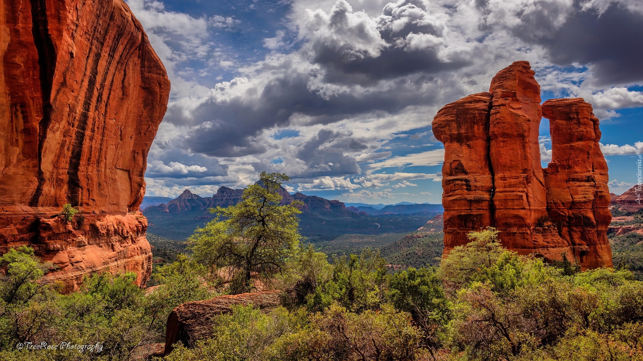 Stany Zjednoczone, Arizona, Sedona, Skały, Formacje skalne, Drzewa