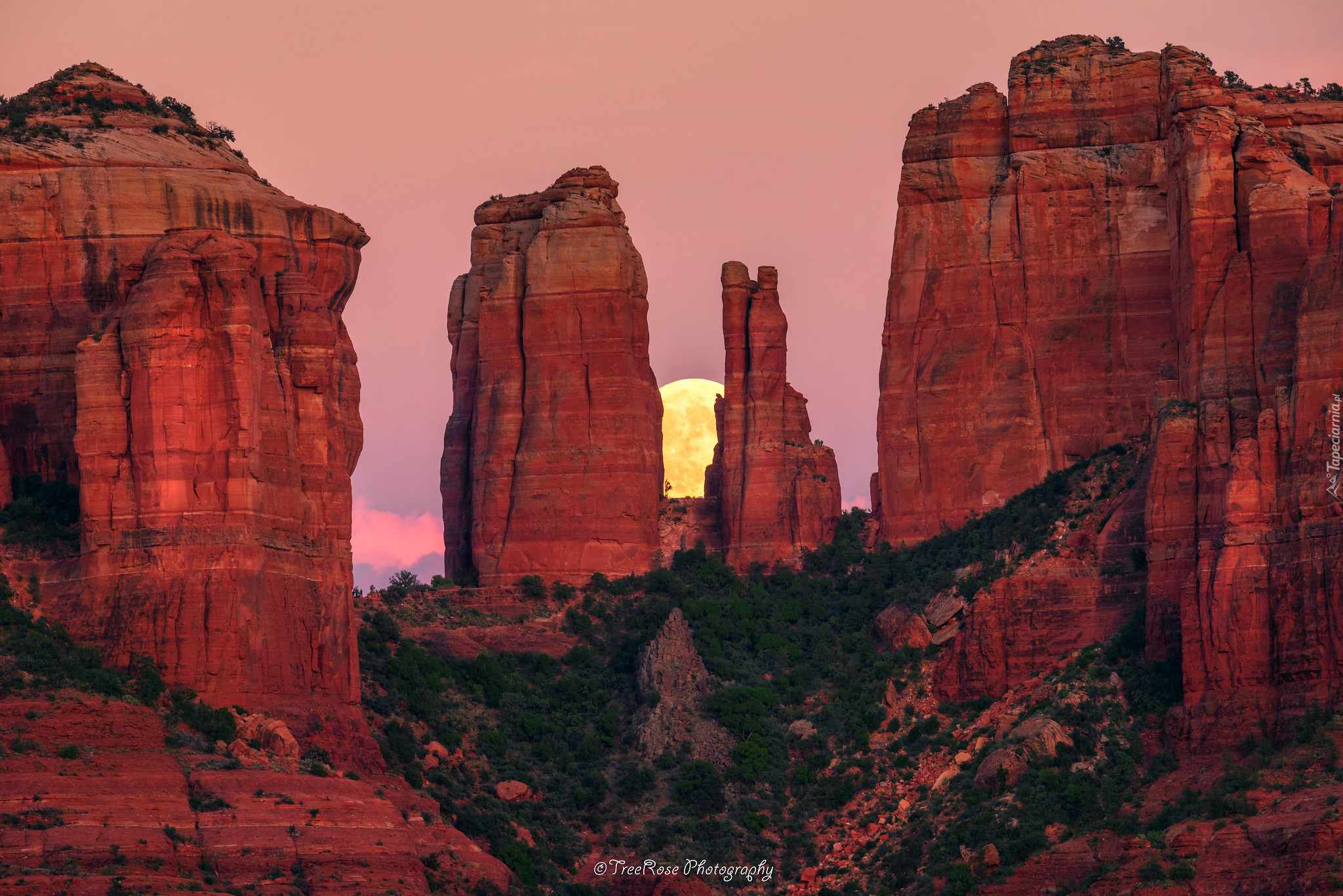 Czerwone, Skały, Krzewy, Cathedral Rocks, Sedona, Arizona, Stany Zjednoczone, Księżyc, Wschód słońca