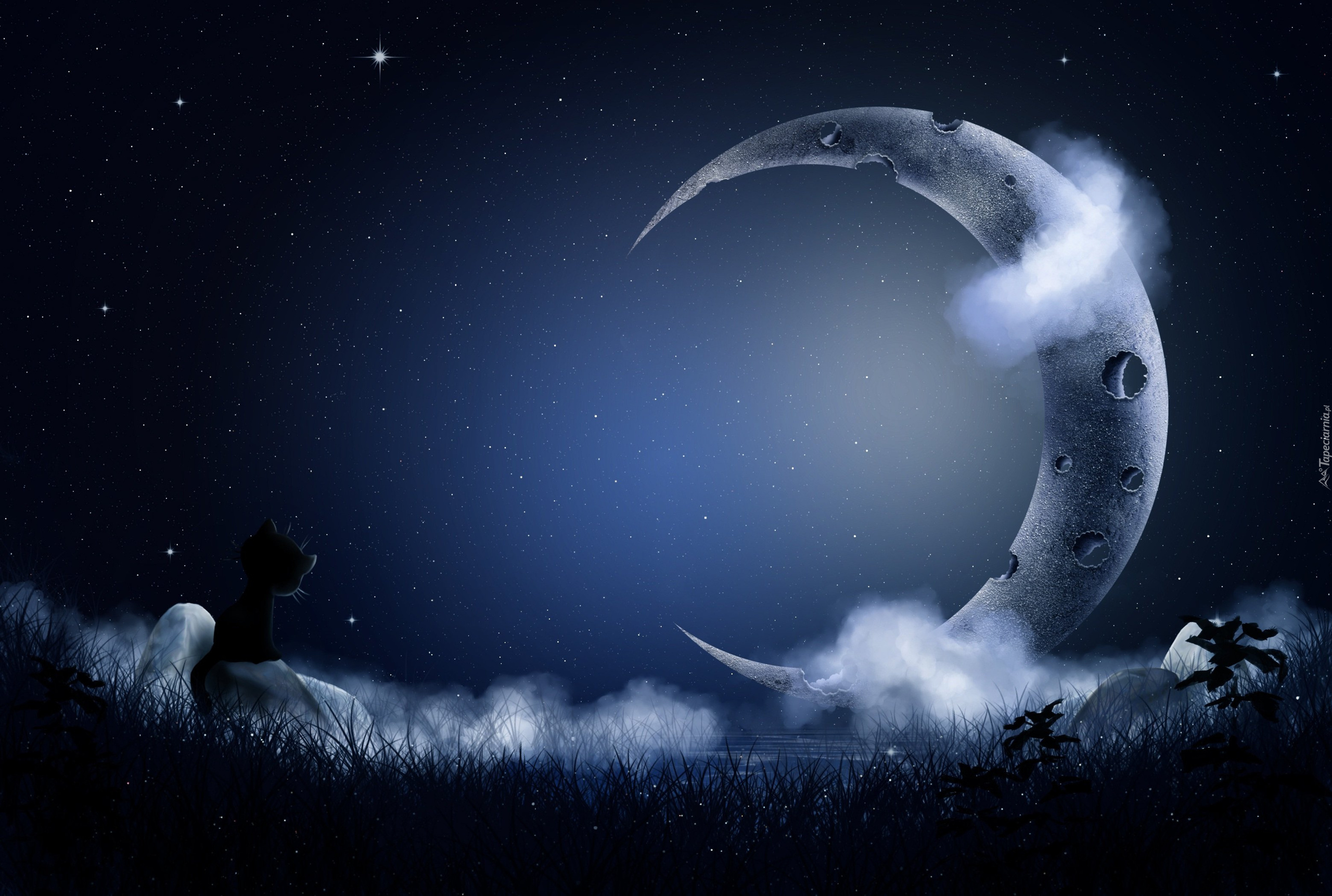 Noc, Niebo, Gwiazdy, Chmury, Księżyc, Kot, 2D