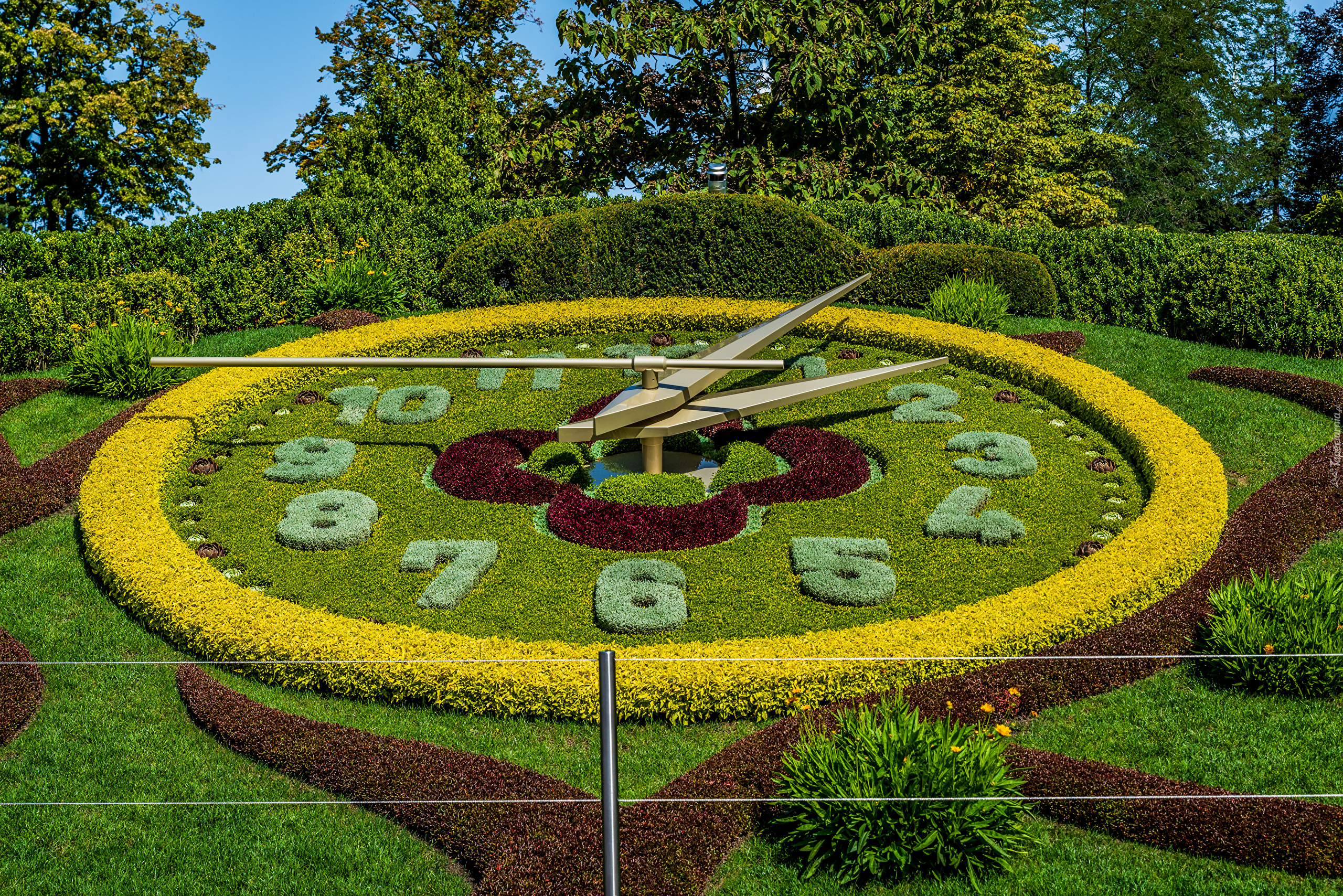 Цветочные часы растений. Цветочные часы английский сад Женева, Швейцария. Швейцария Женева цветочные часы. Женева парк цветочные часы.